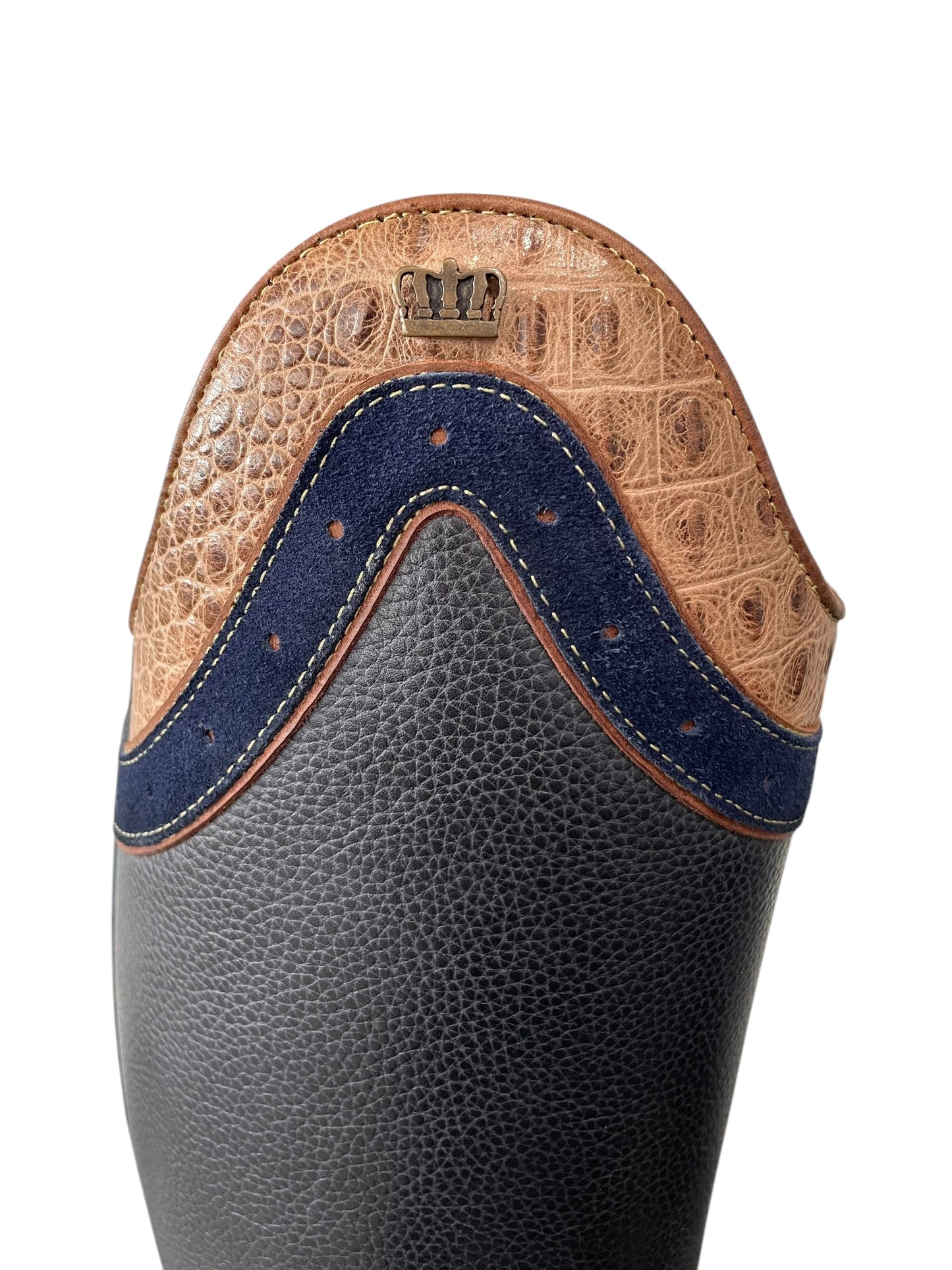 TDR's Patricia L (Kingsley Capri 02 with Amsterdam Sole)
