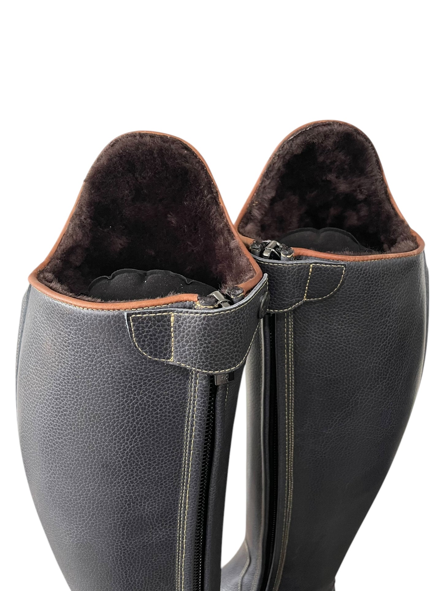 TDR's Patricia L (Kingsley Capri 02 with Amsterdam Sole)