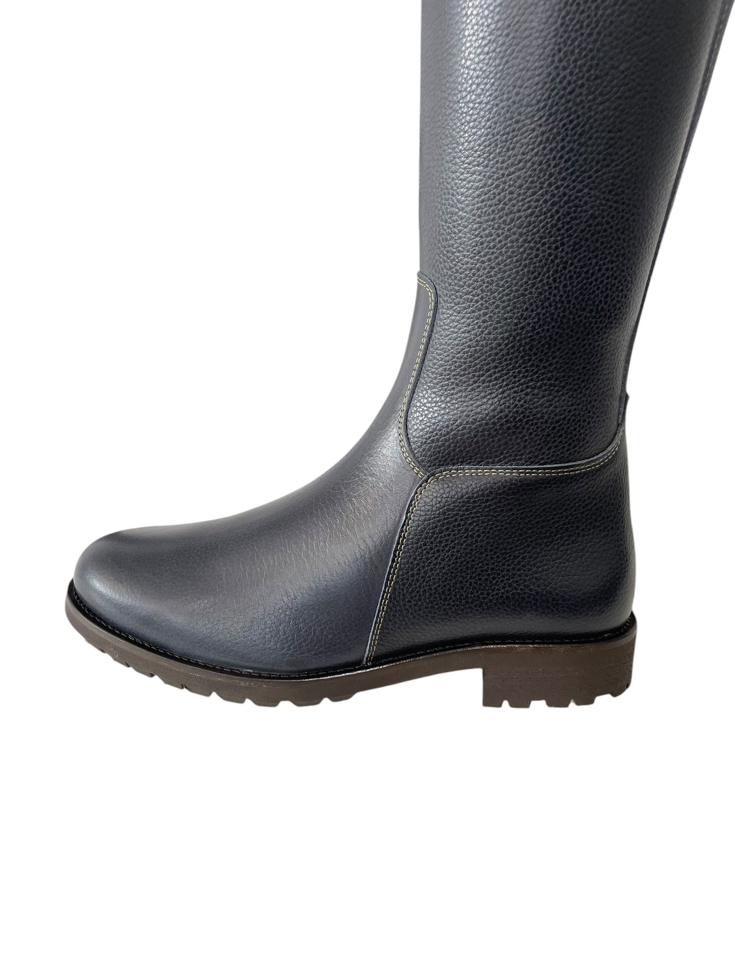 TDR's Patricia L (Kingsley Capri 02 with Amsterdam Sole)