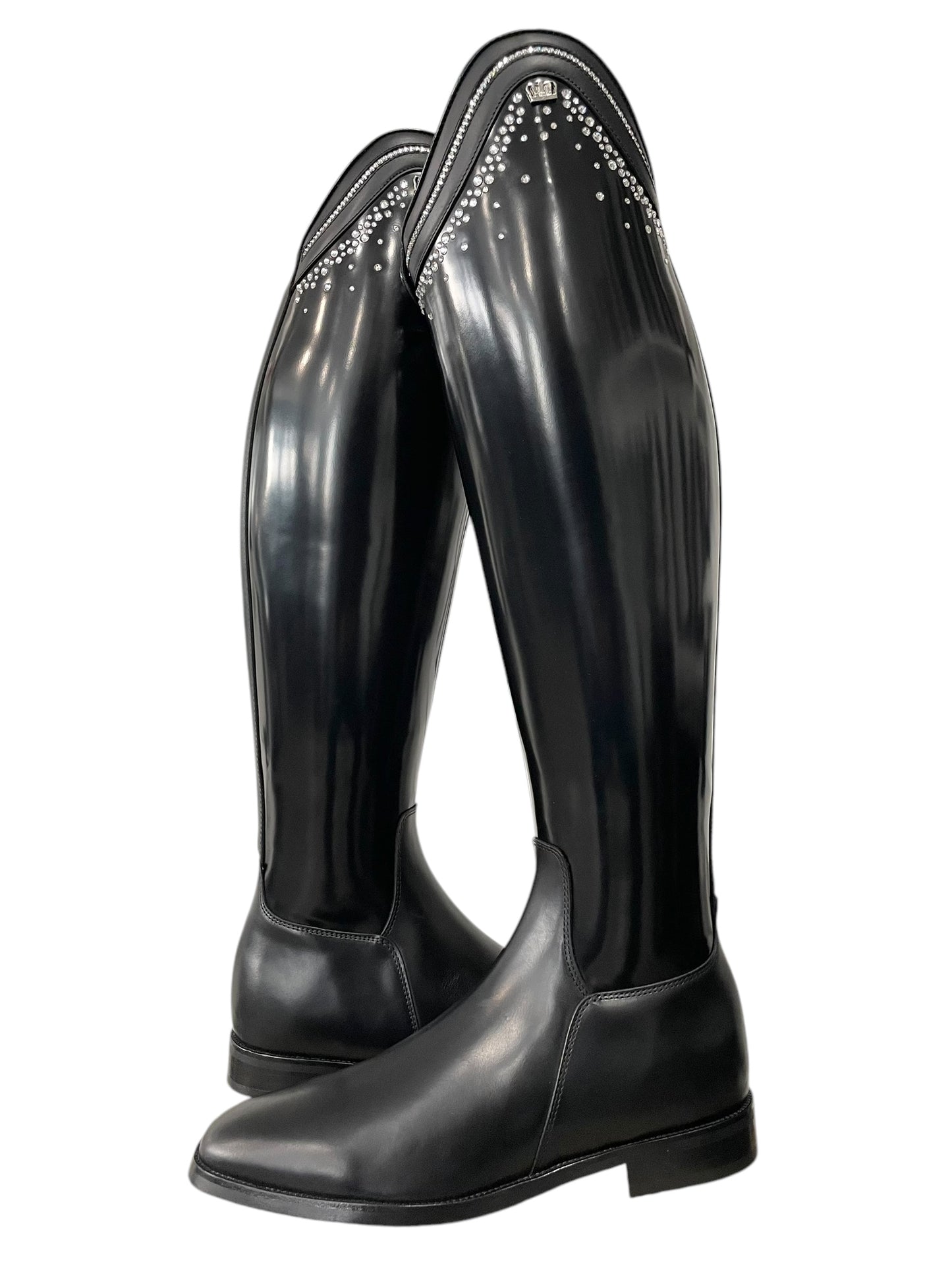 Kingsley Capri (41/MA/L)