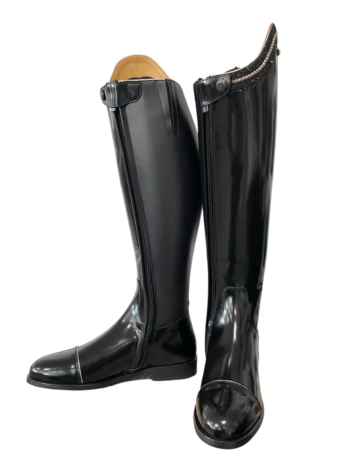TDR's Jacqui L 4.0 (Kingsley Capri)