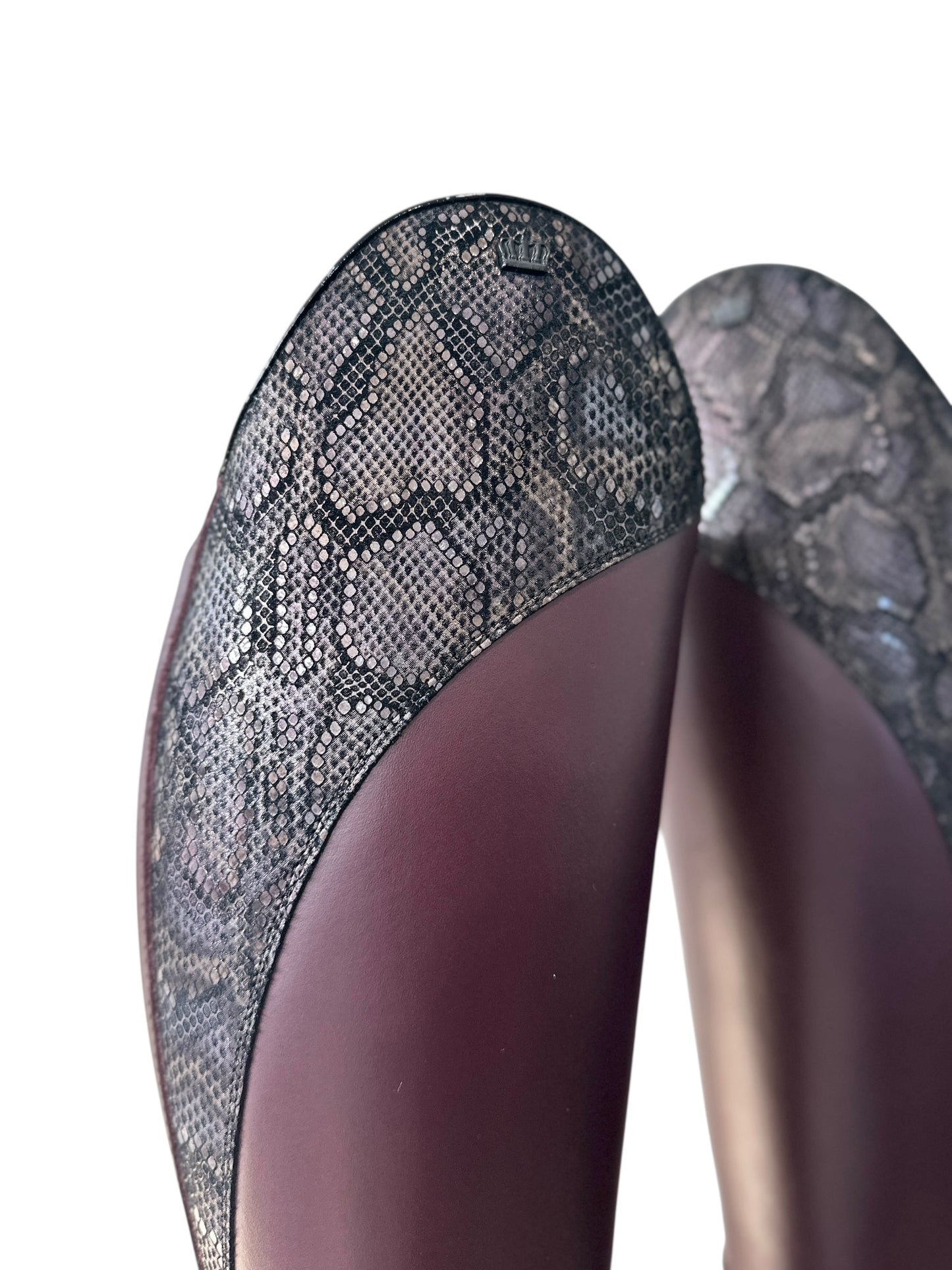 TDR's Leah H (Kingsley Capri)