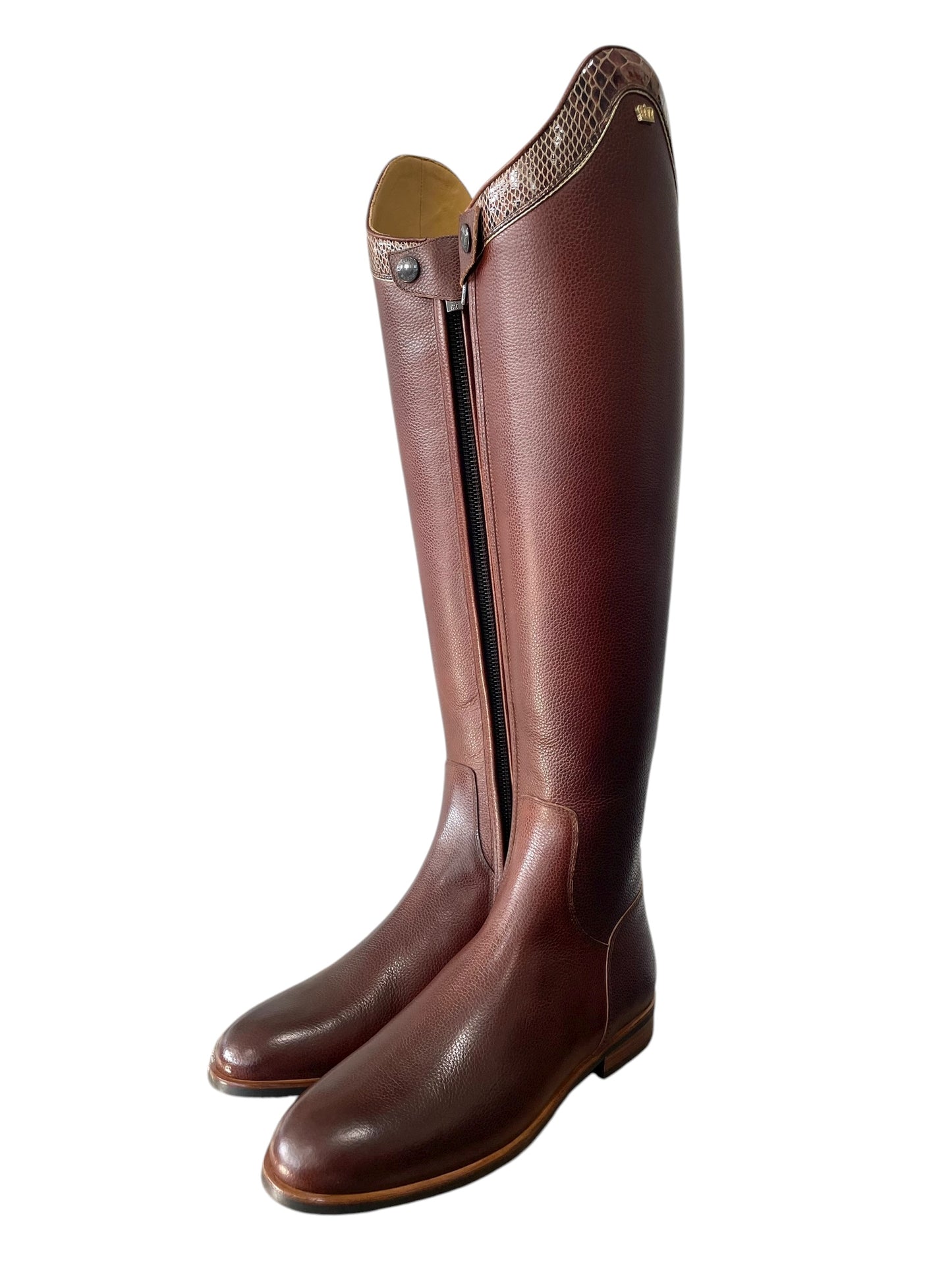 TDR's Lehua (Kingsley Capri)