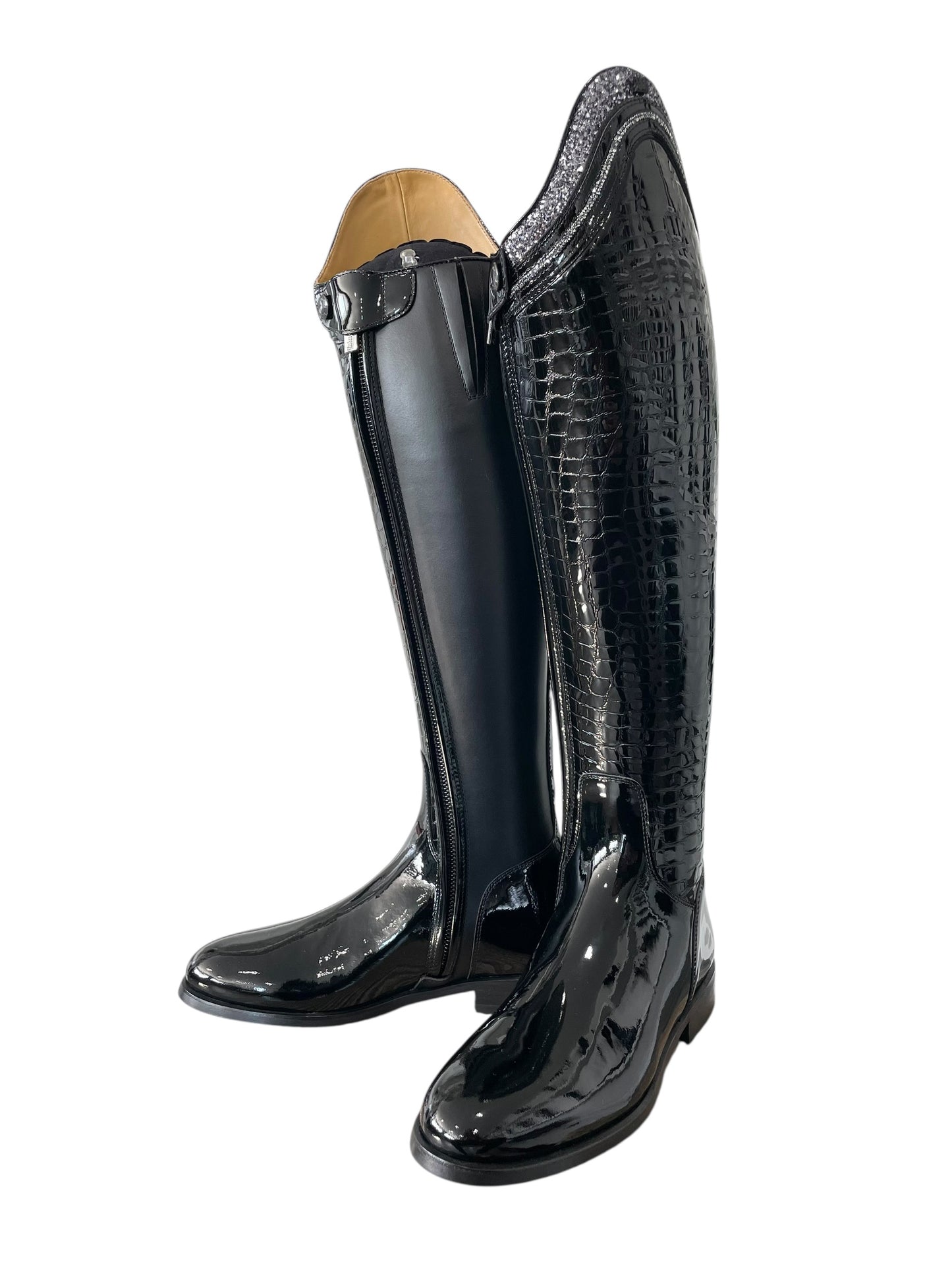 TDR's Radene (Kingsley Capri)