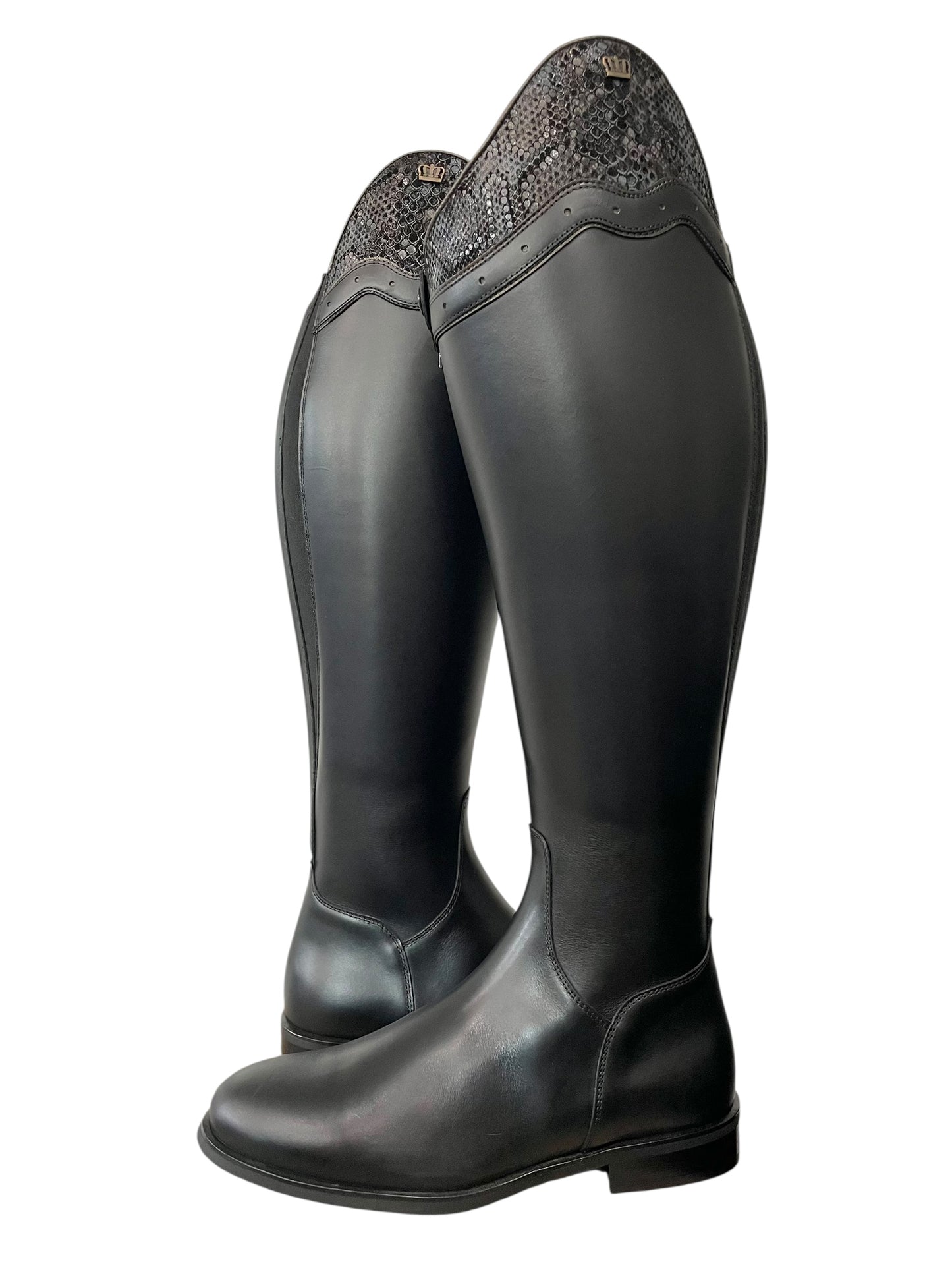 TDR's Rebecca P 2.0 (Kingsley Capri)