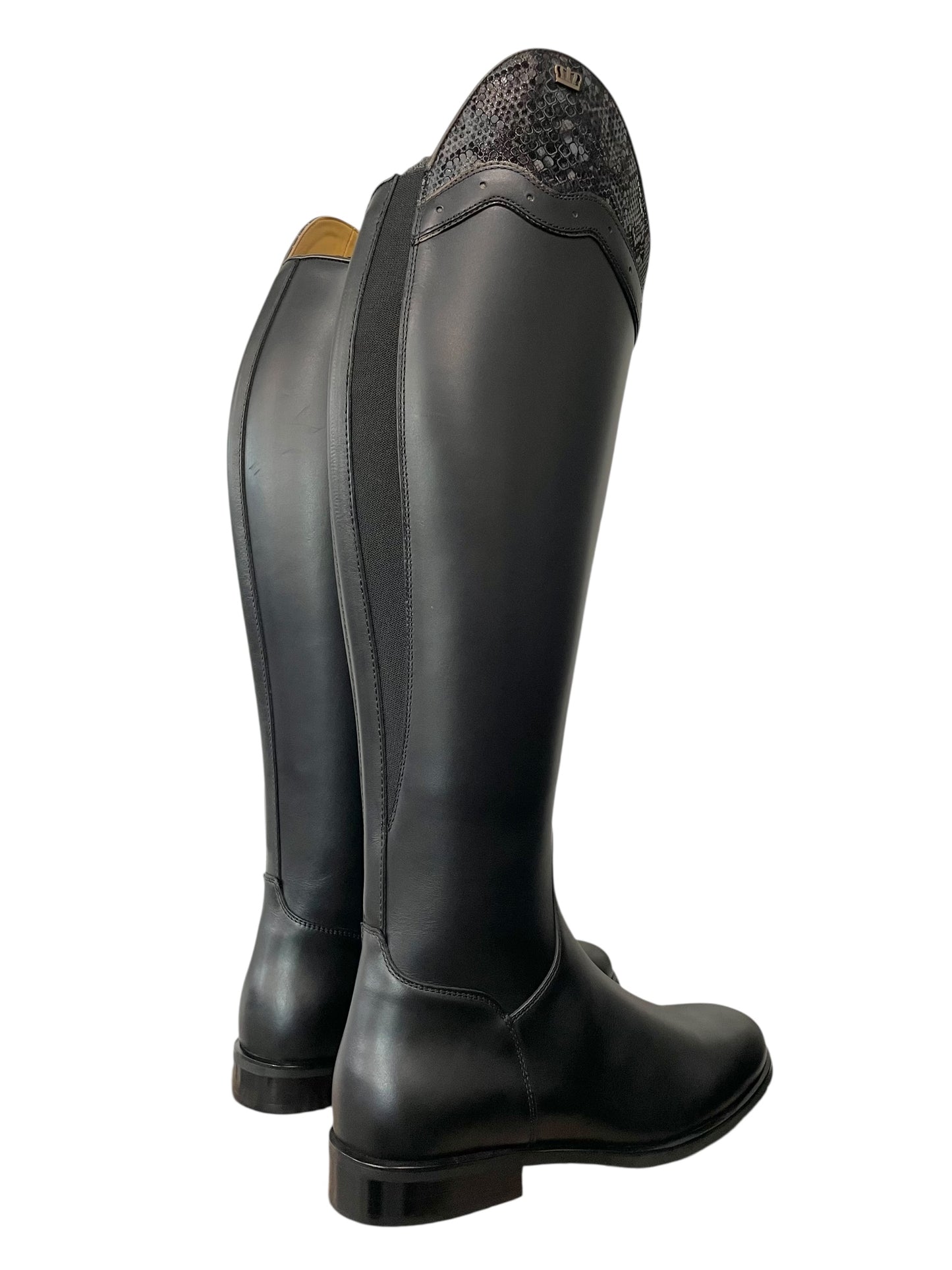 TDR's Rebecca P 2.0 (Kingsley Capri)