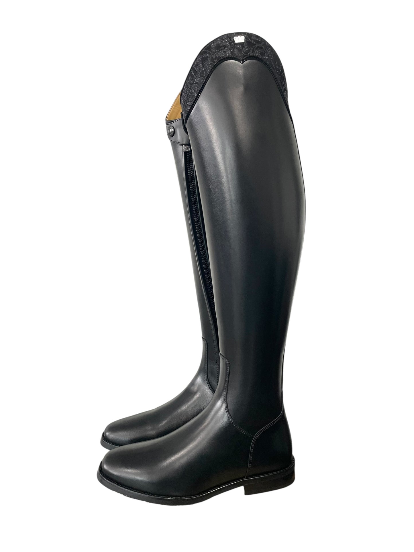 TDR's Sarah D (Kingsley Capri)