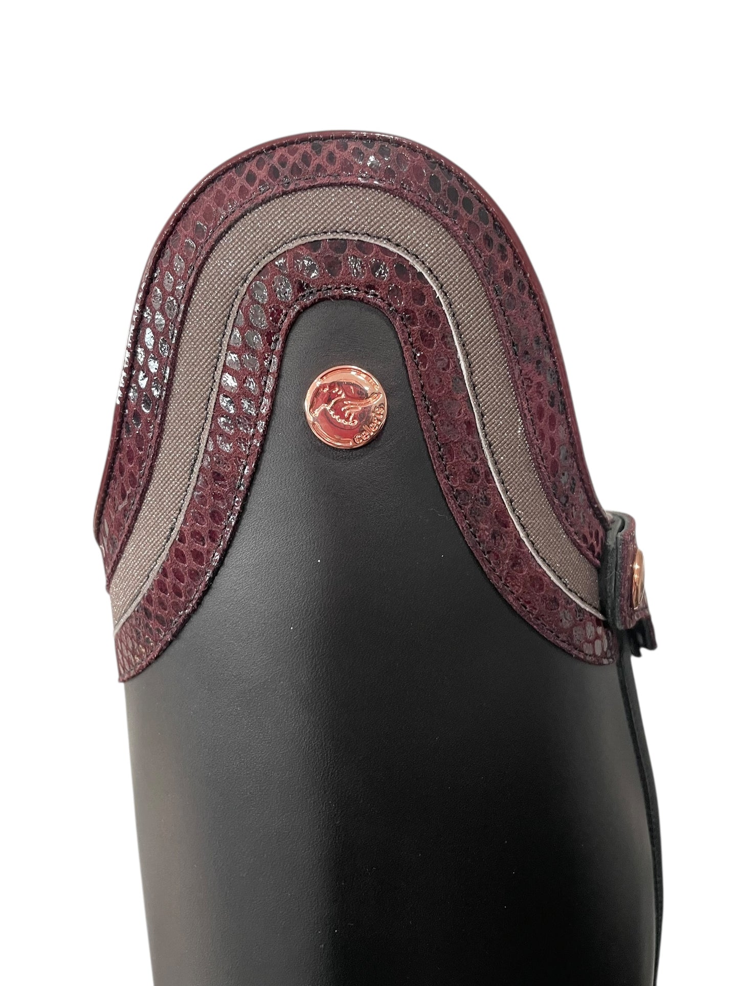 TDR's Megan Bus. (Celeris Diogo)