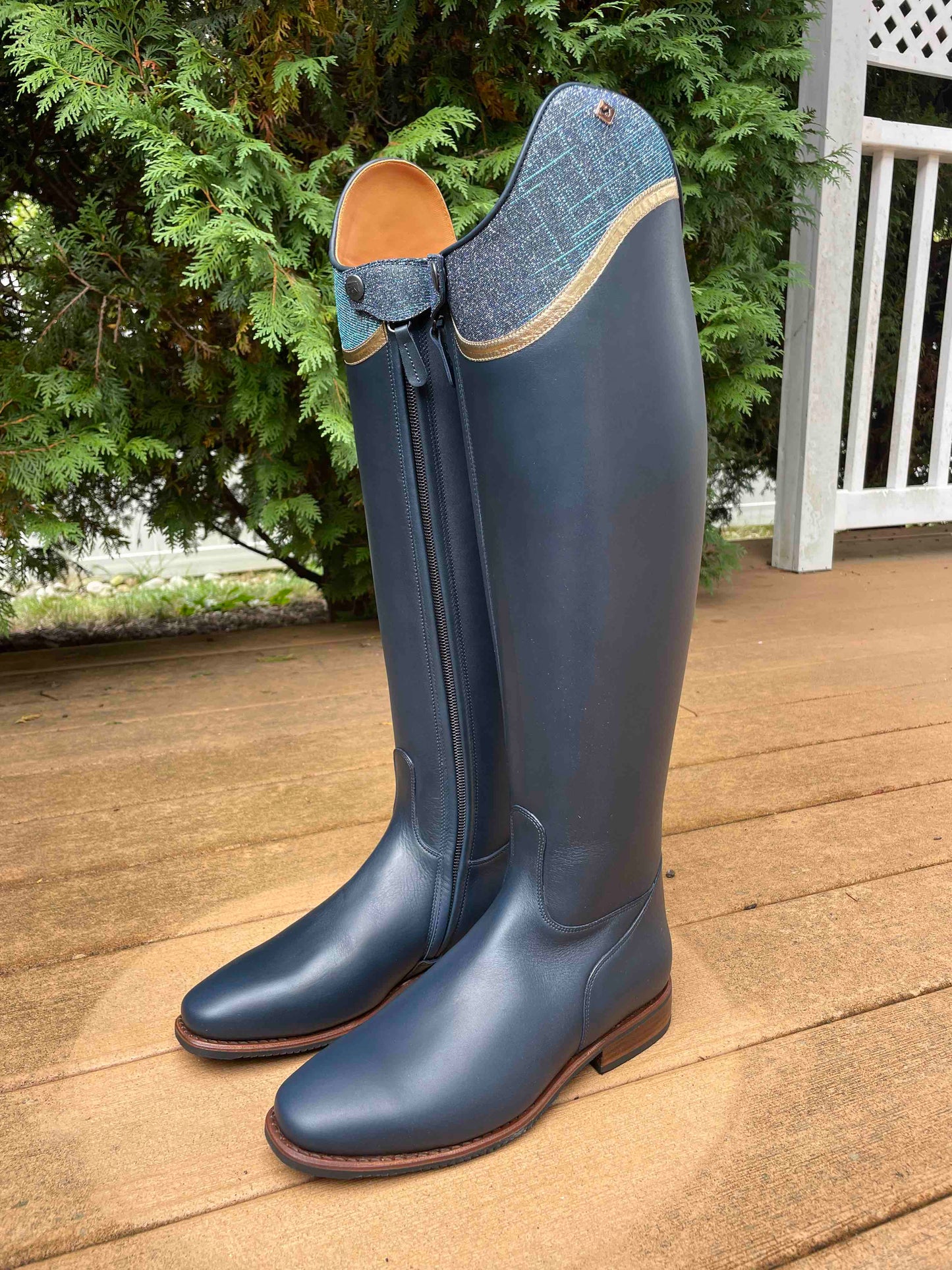 TDR's Hope G (DeNiro Raffaello)