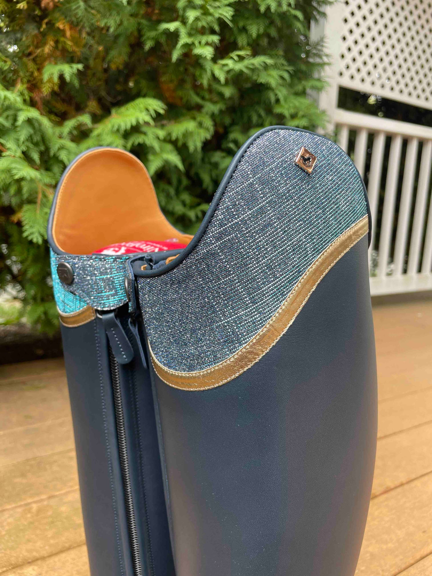 TDR's Hope G (DeNiro Raffaello)