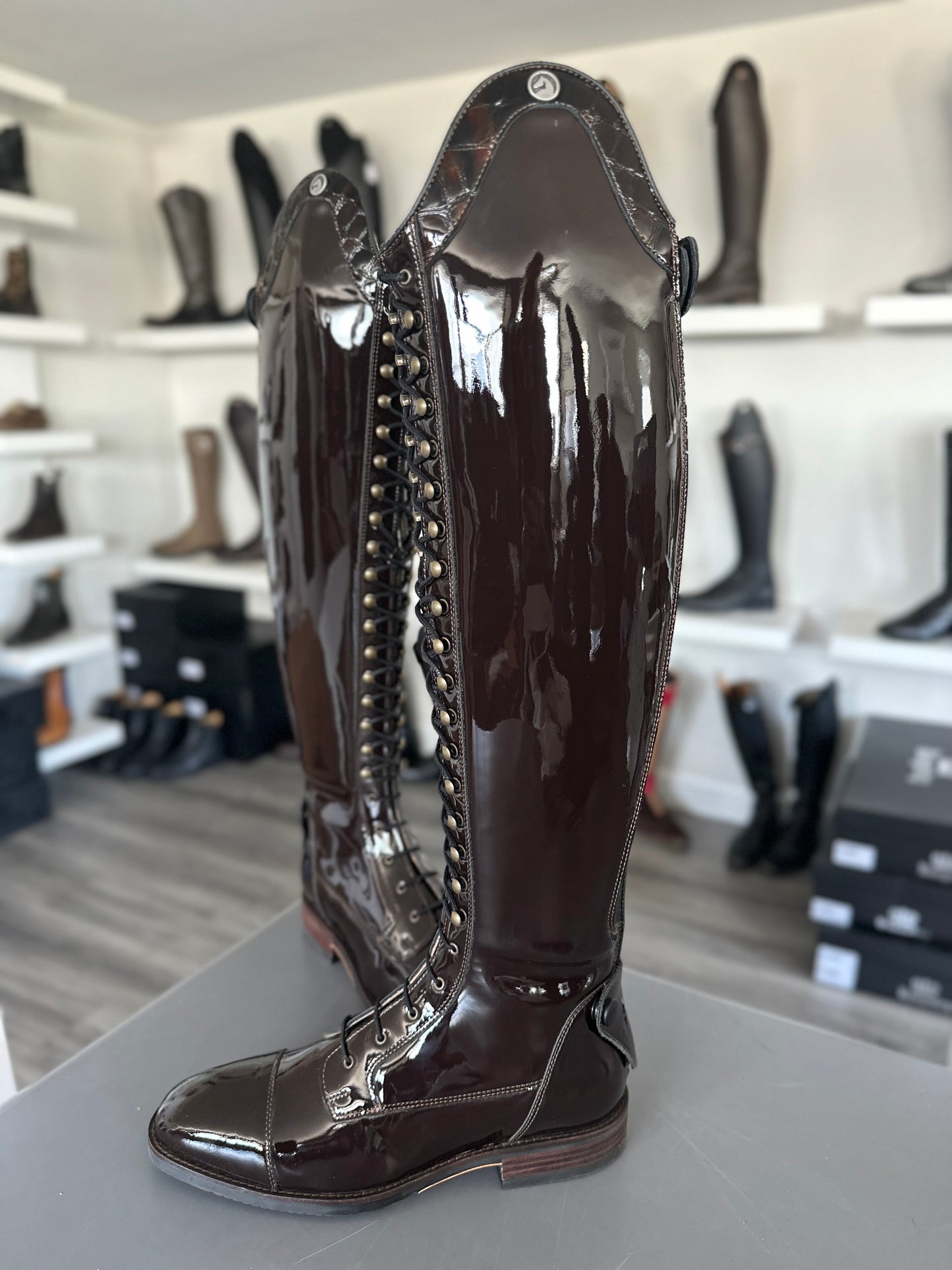 Chester Madrid Dressage Boot (Patent Brown)