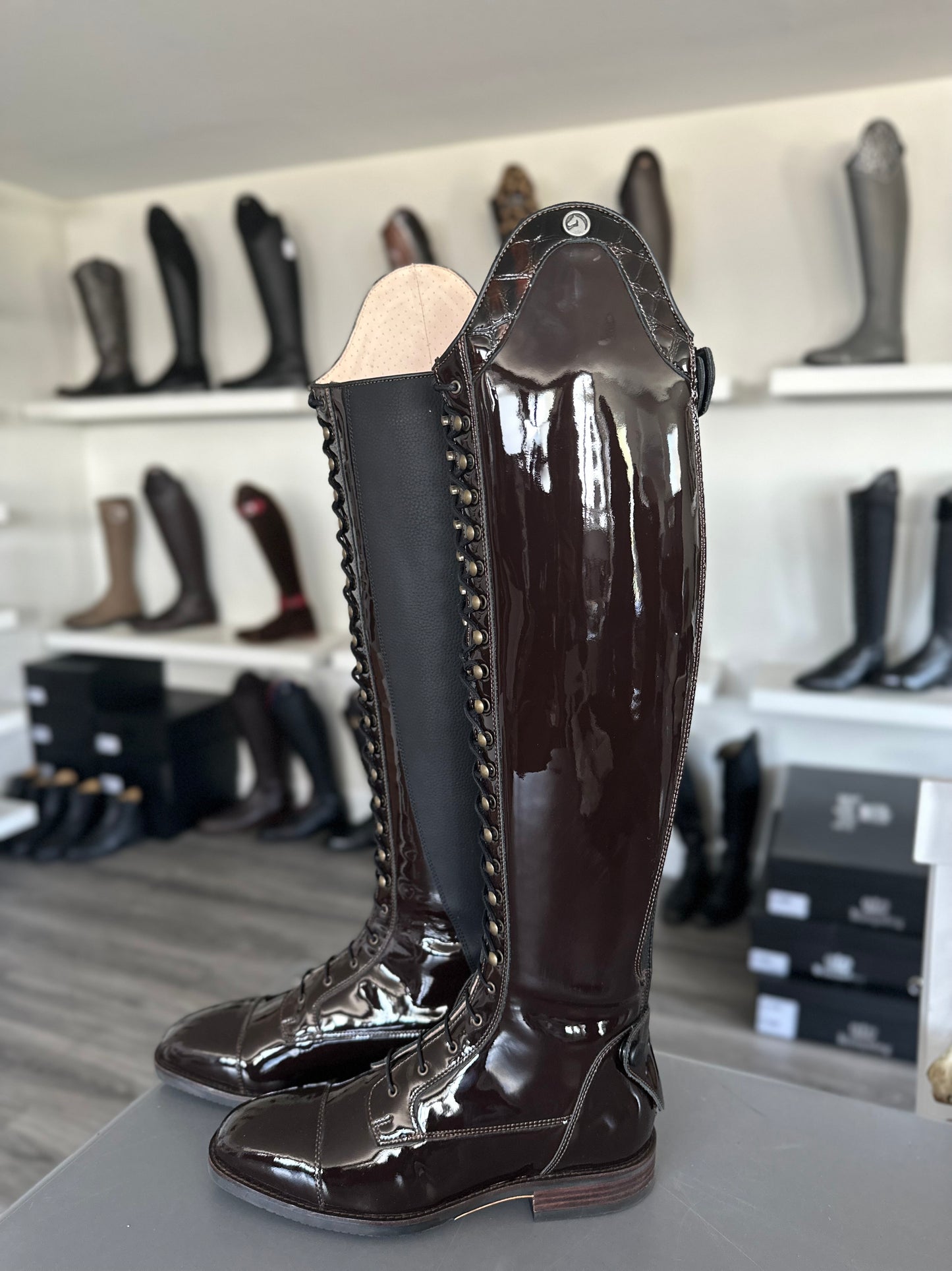 Chester Madrid Dressage Boot (Patent Brown)