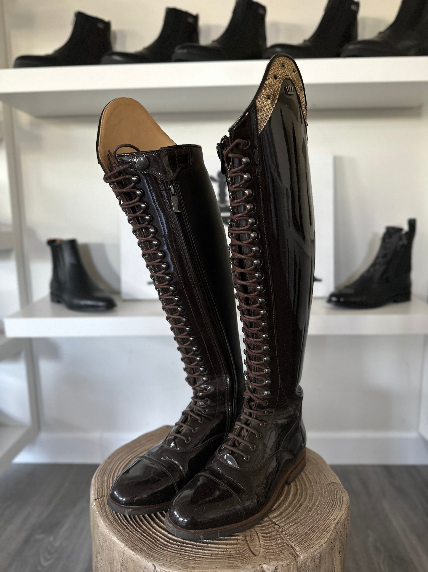 Kingsley Orlando 02 Dressage Boot (Roma Castanho and Morphin Gold)
