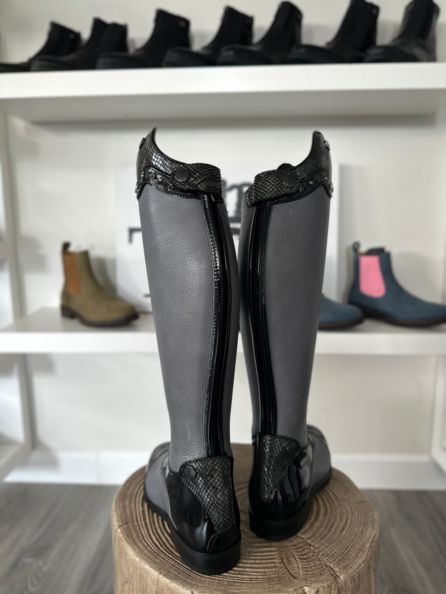 TDR's Jesi (Kingsley Olbia 01)