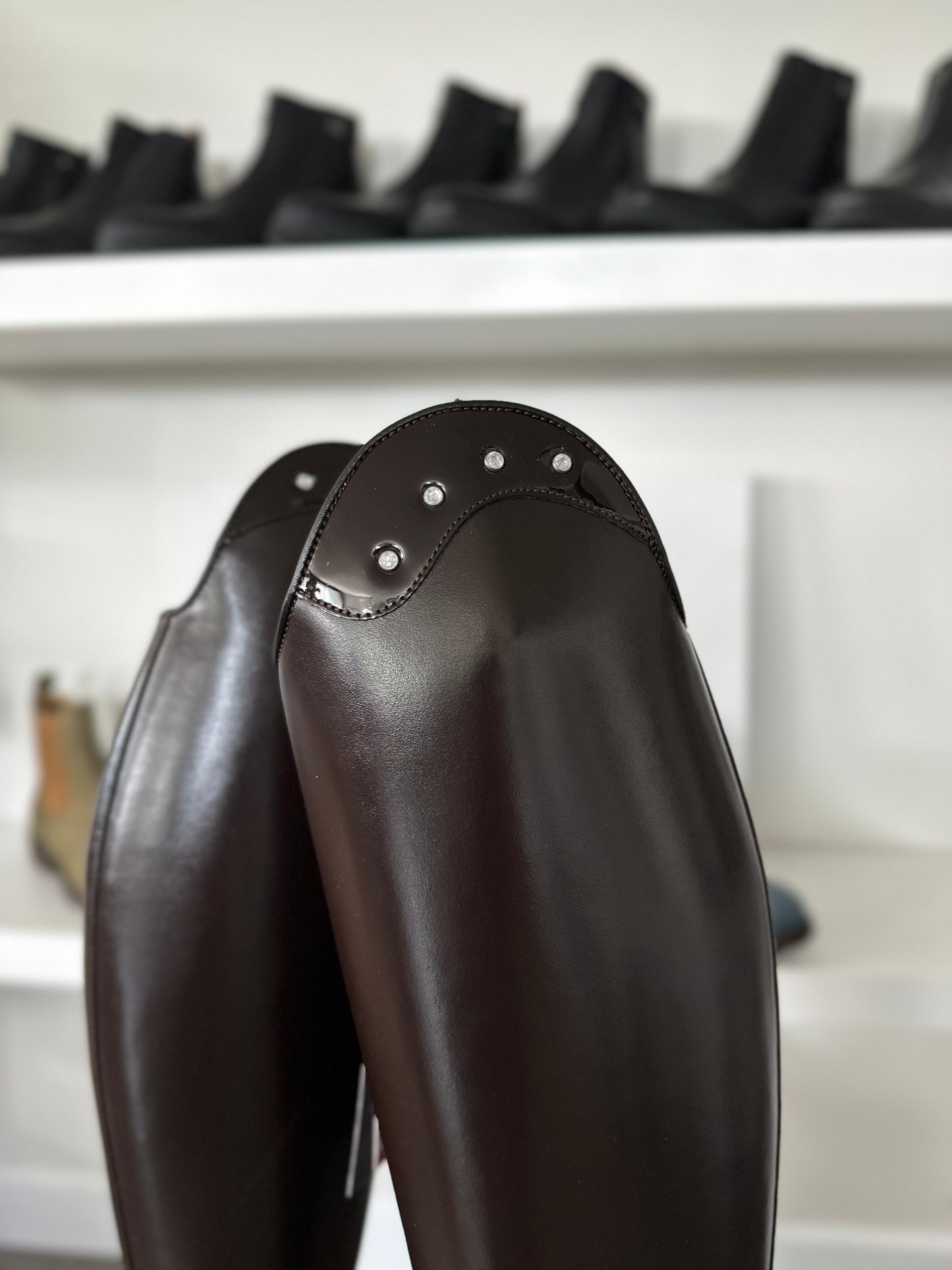 Chester Aachen Dressage Boot (Dark Brown)