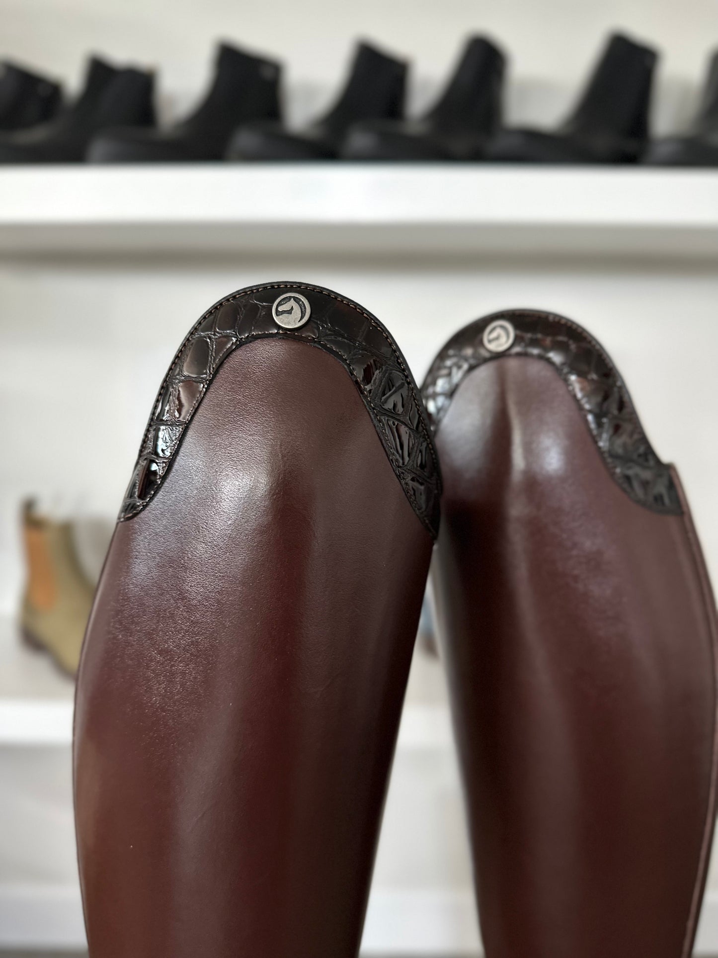 Chester Aachen Dressage Boot (Pull-up Brown)