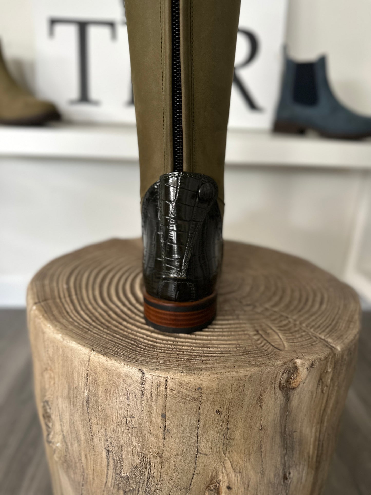 Kingsley Olbia 01 (38/MA/M)