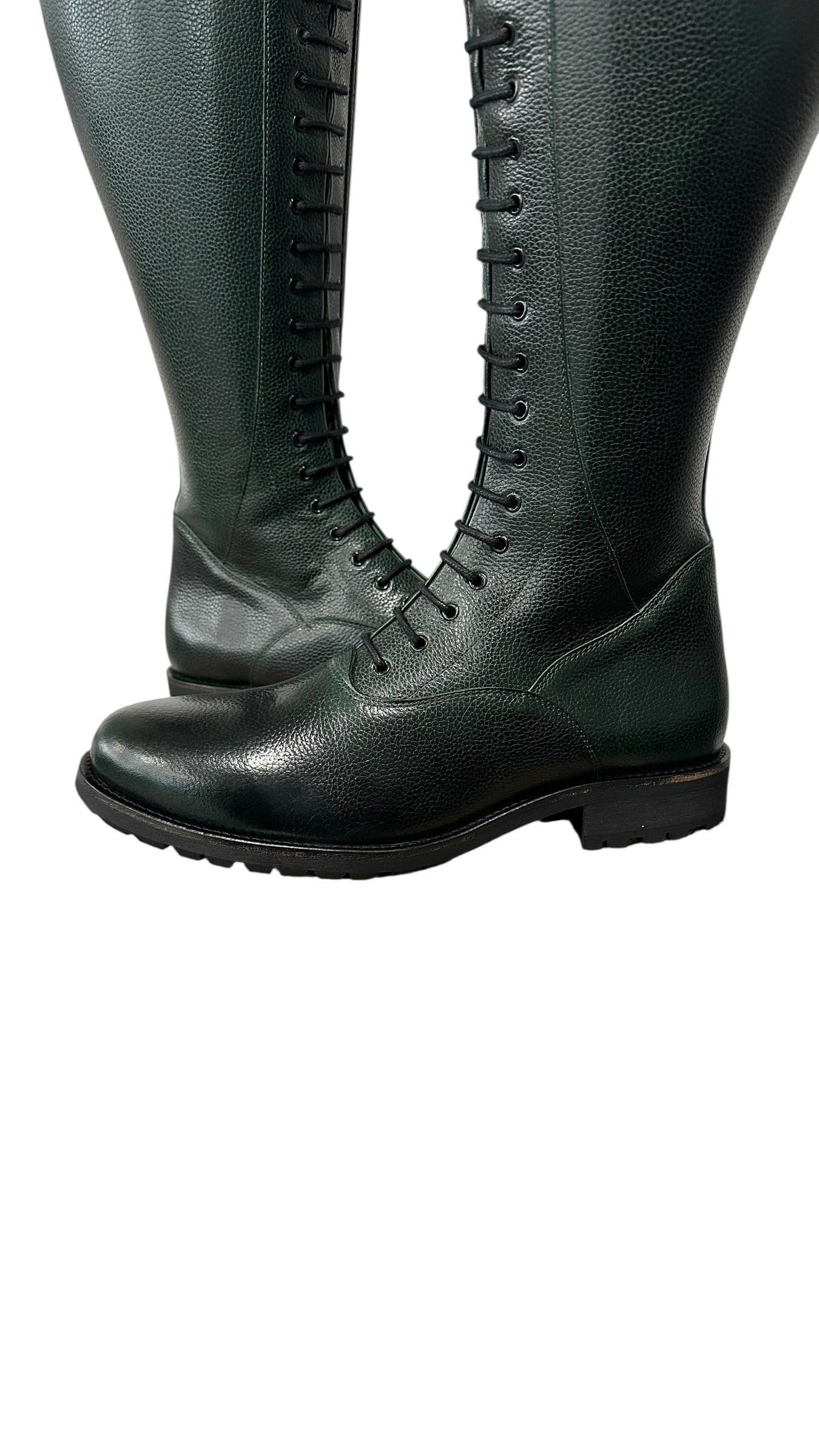 TDR's Liz L (Kingsley Orlando w/ Amsterdam Sole)