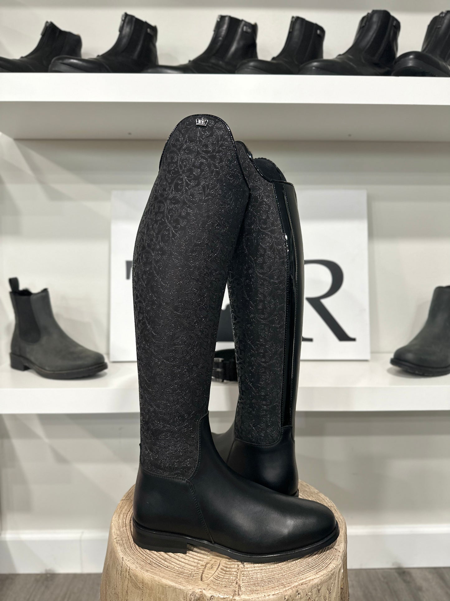 TDR's Marissa 13.0 (Kingsley WINTER Capri 02)