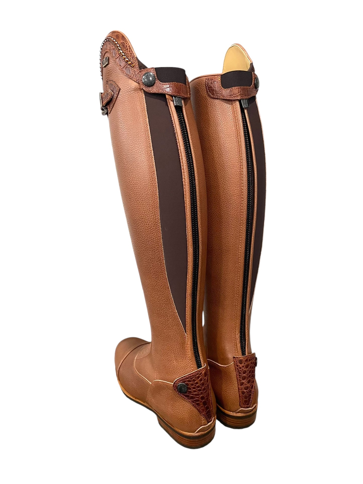 TDR's Carly Q 2.0 (Kingsley Infinity)