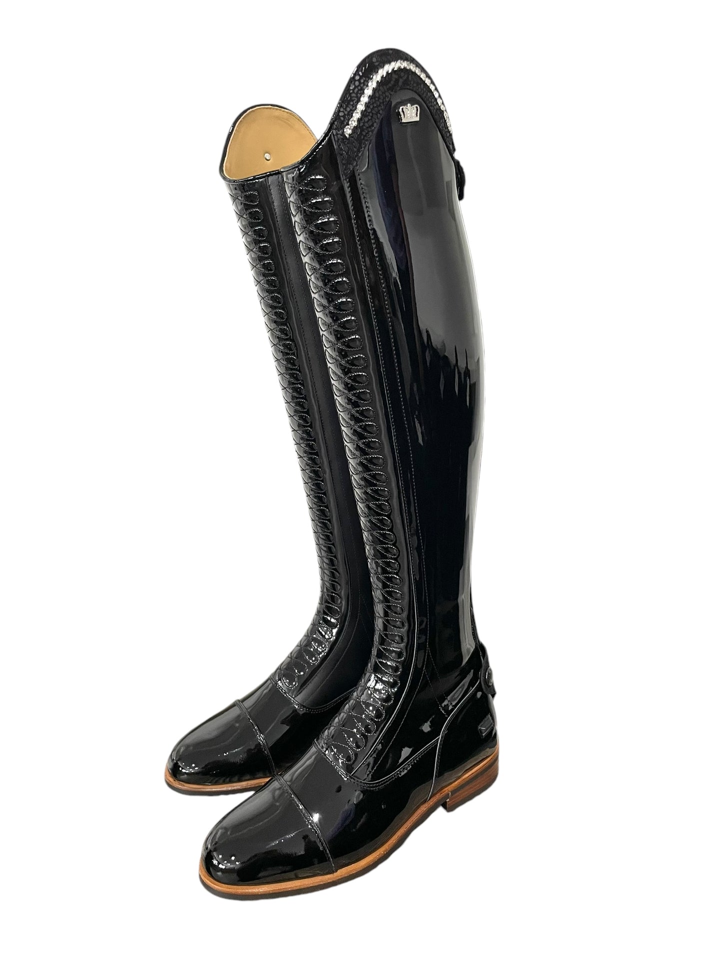 TDR's Carly Q 3.0 (Kingsley Infinity)