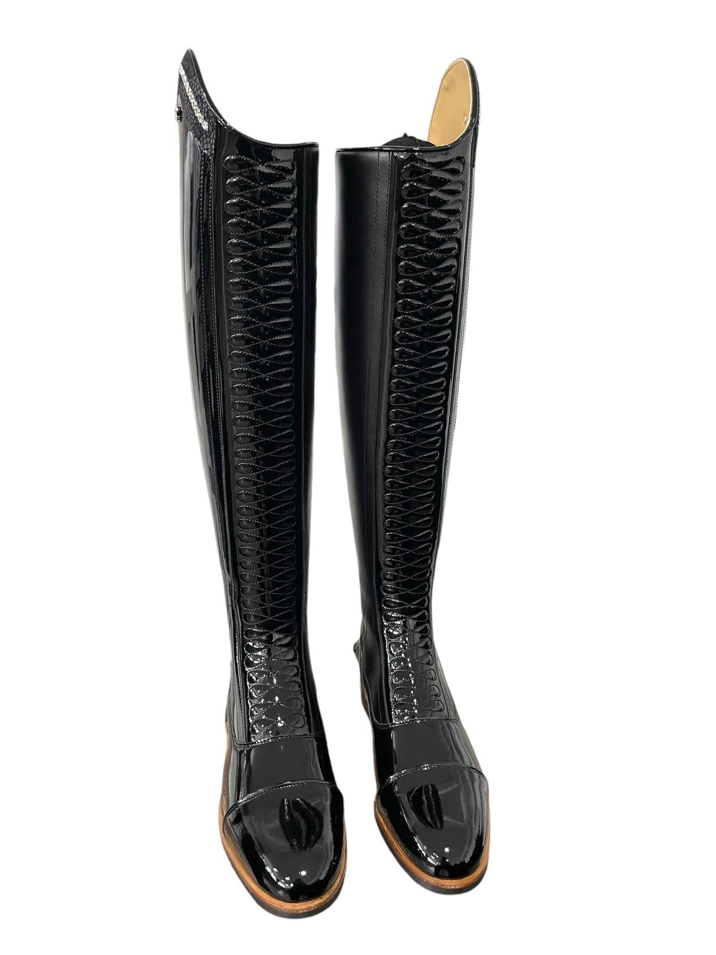 TDR's Carly Q 3.0 (Kingsley Infinity)