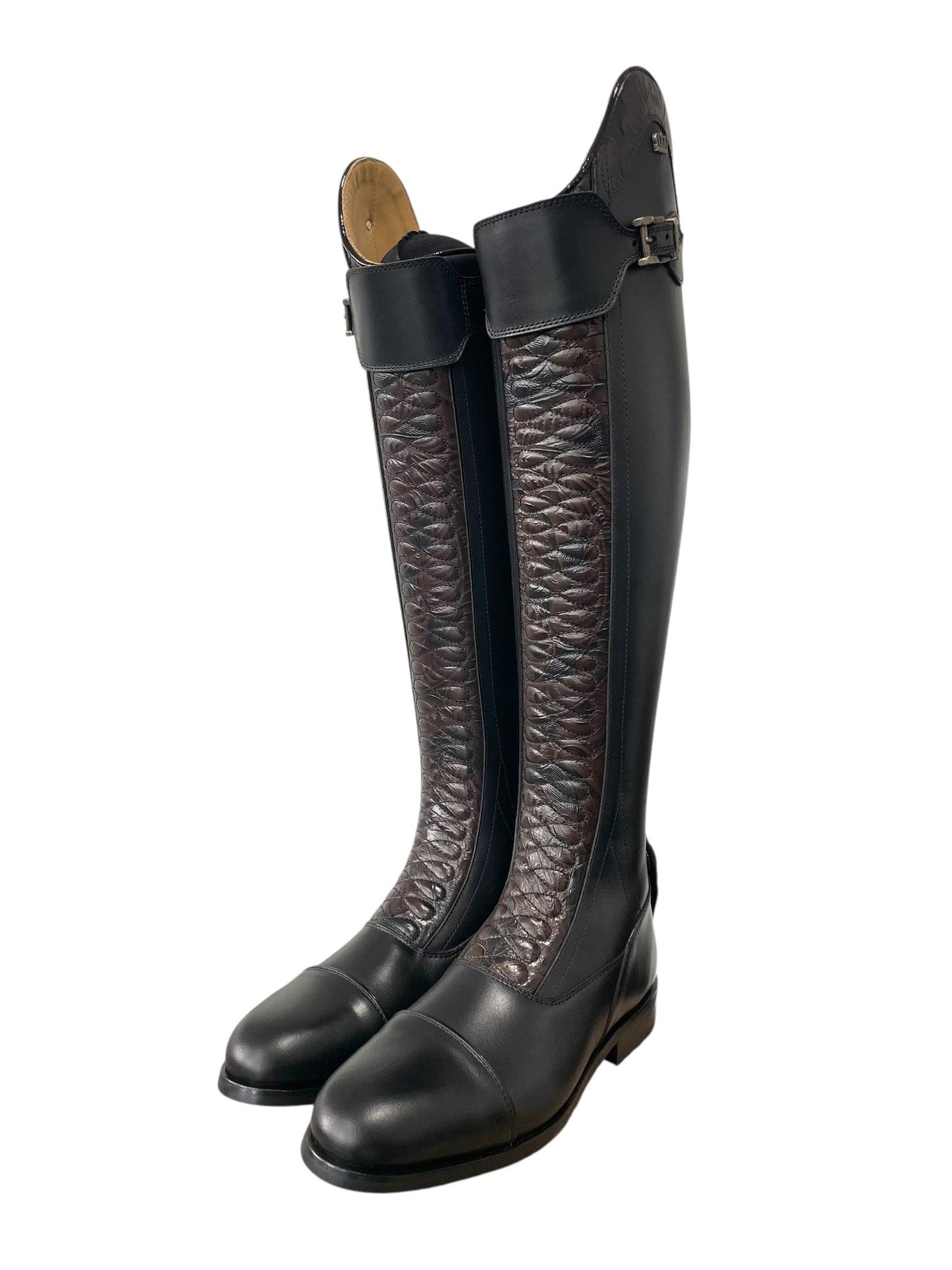 TDR's Jen K (Kingsley Infinity)