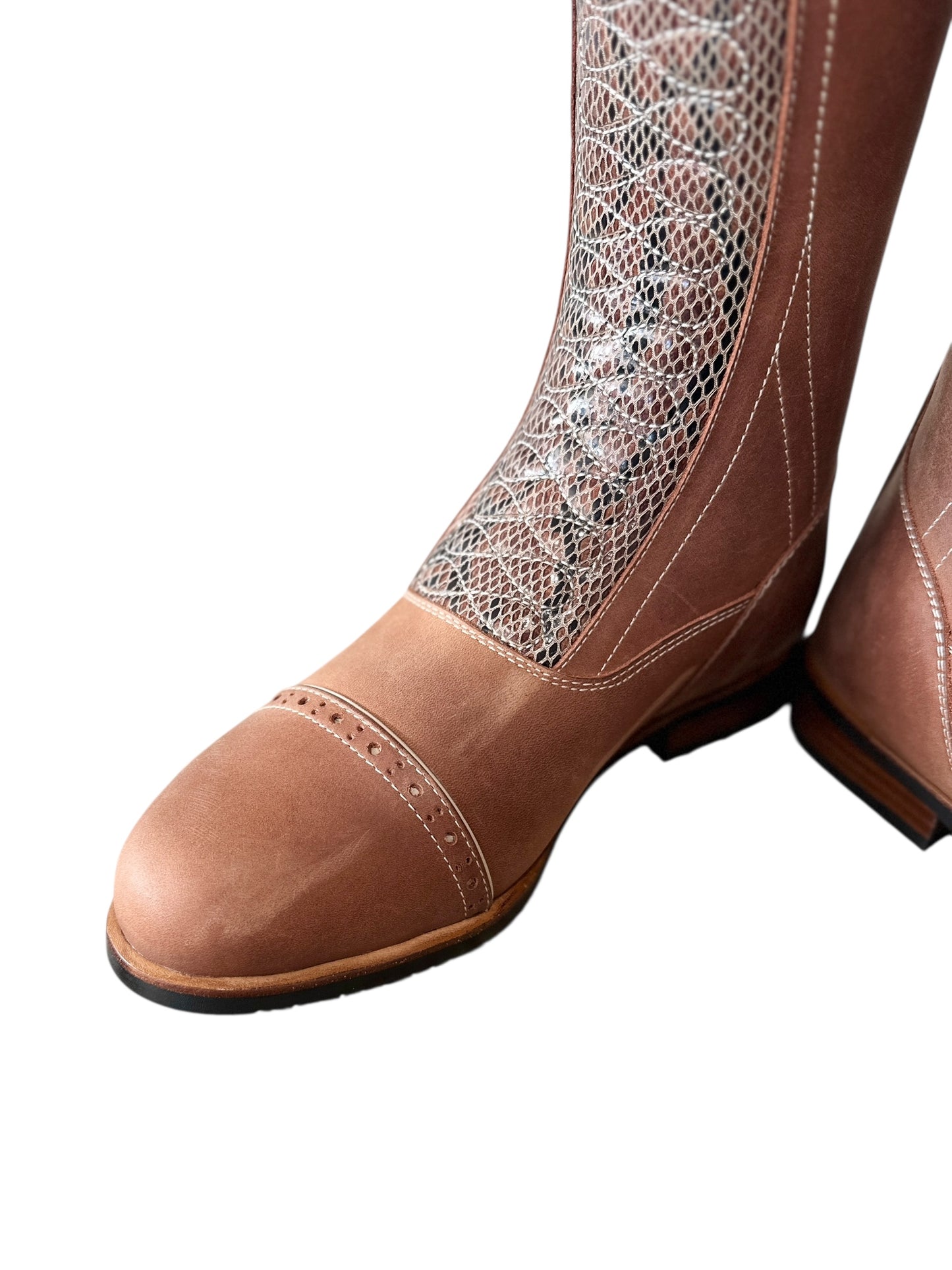 TDR's Kathi 5.0 (Kingsley Infinity)