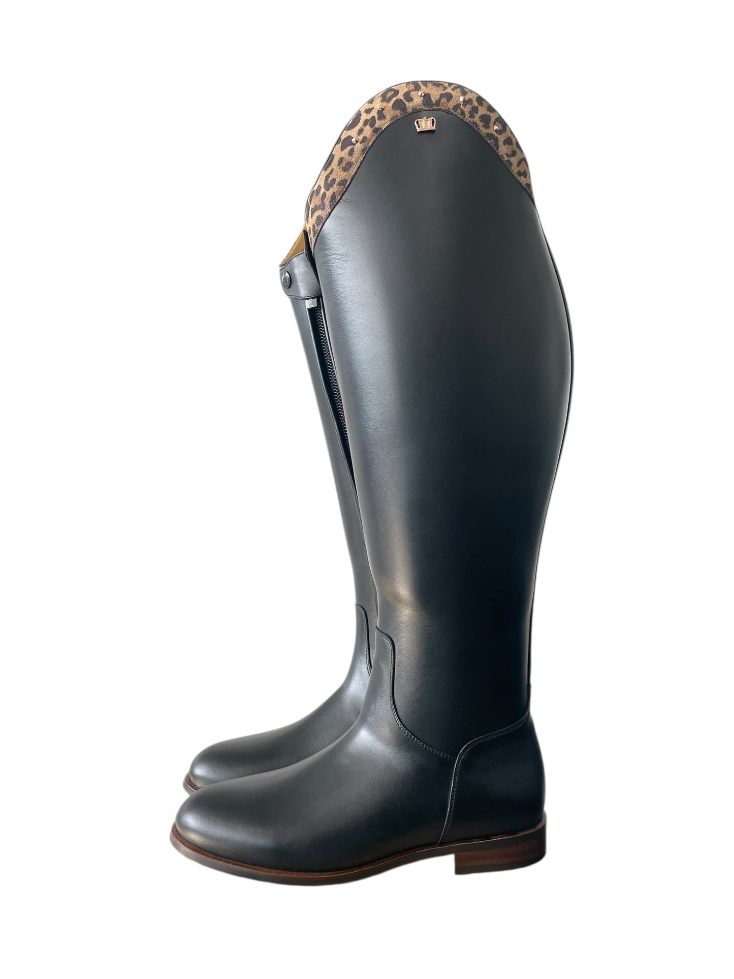 TDR's Heidi M (Kingsley Lexington)