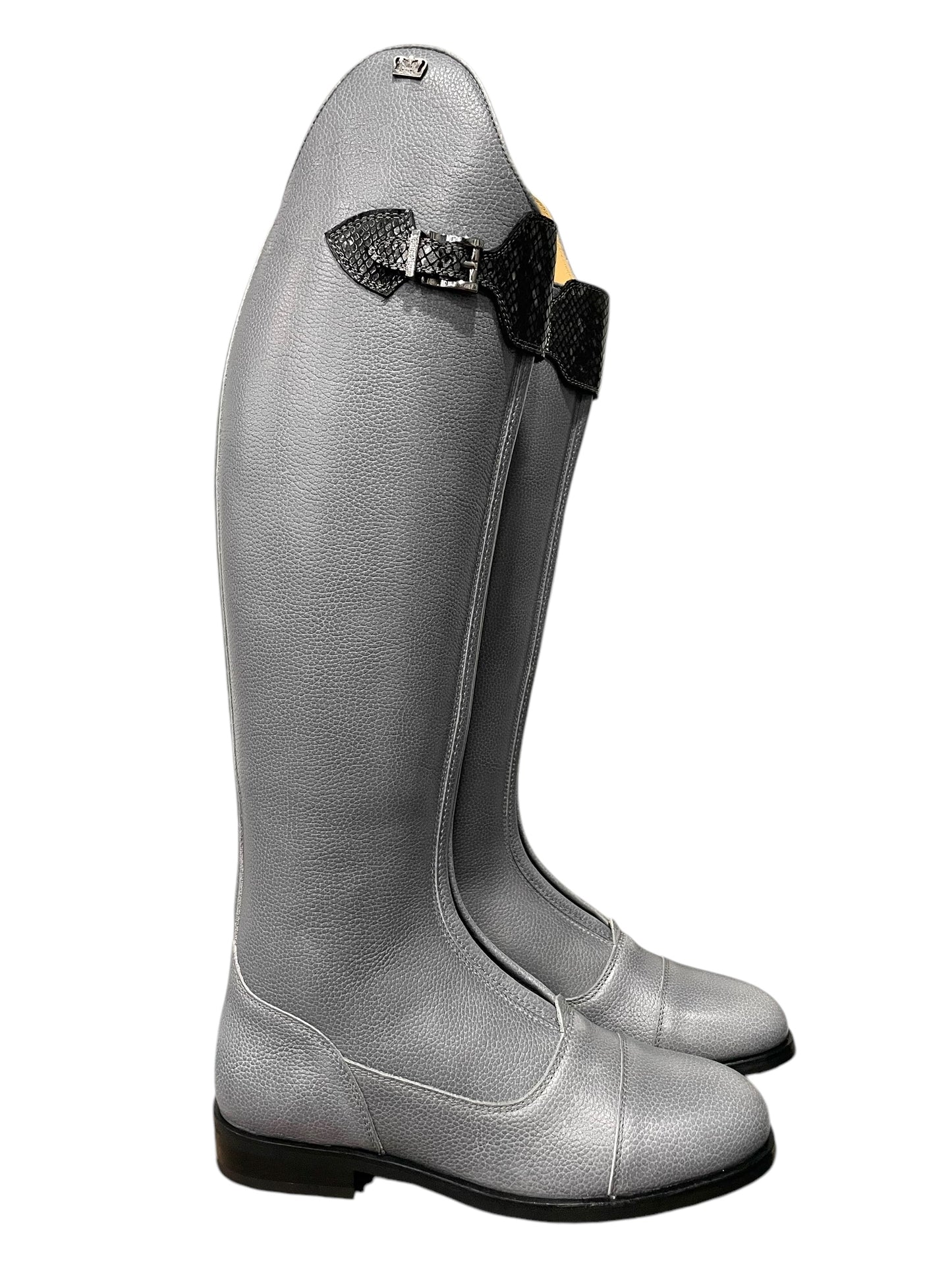 TDR's Cara K 5.0 (Kingsley London 01)