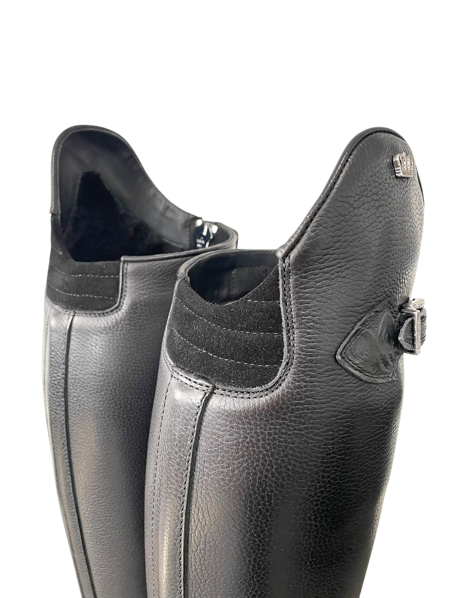 TDR's Lisa M (Kingsley London 01 with Amsterdam Sole)