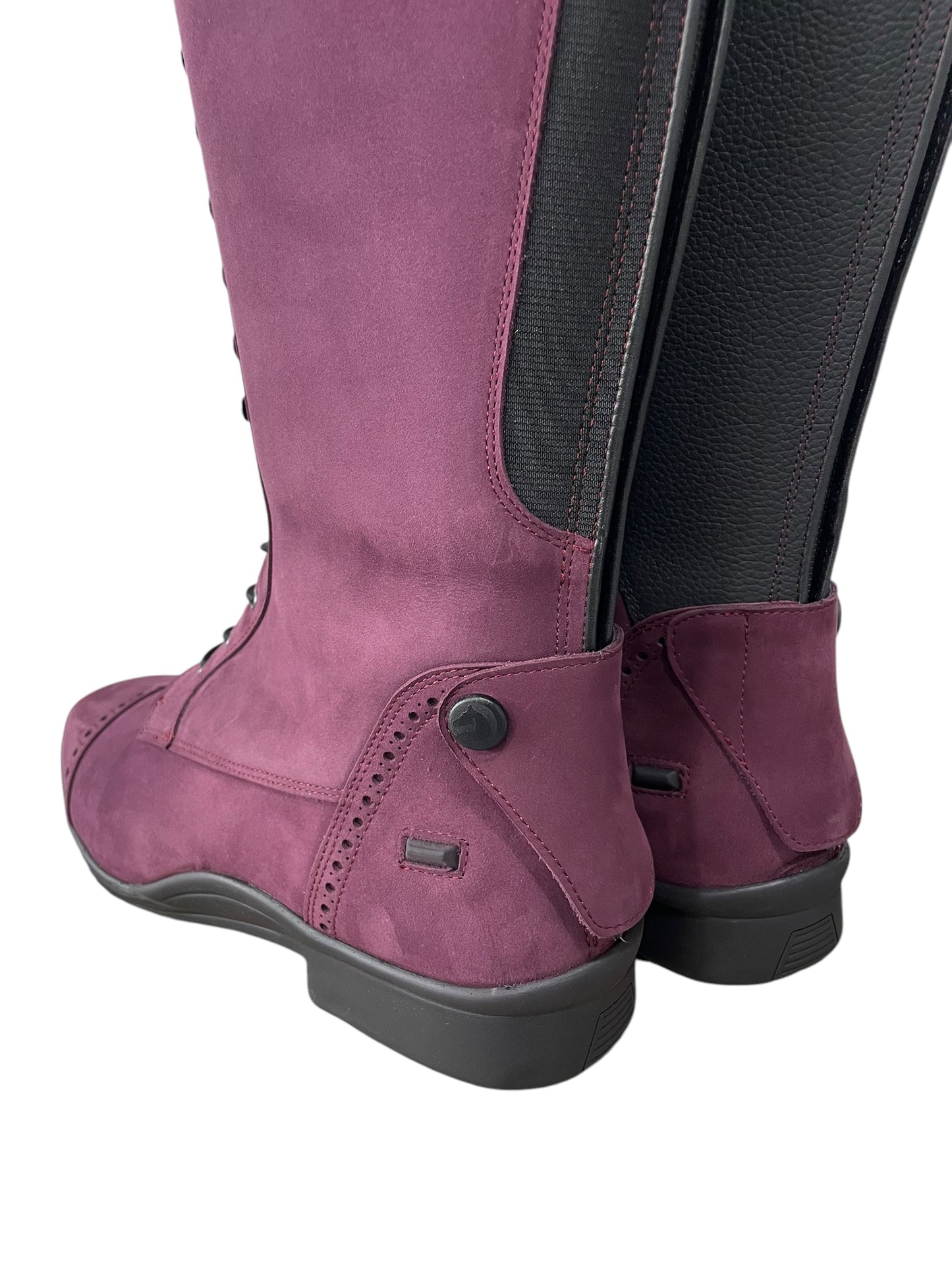 TDR's Paula Z (Chester Madrid)