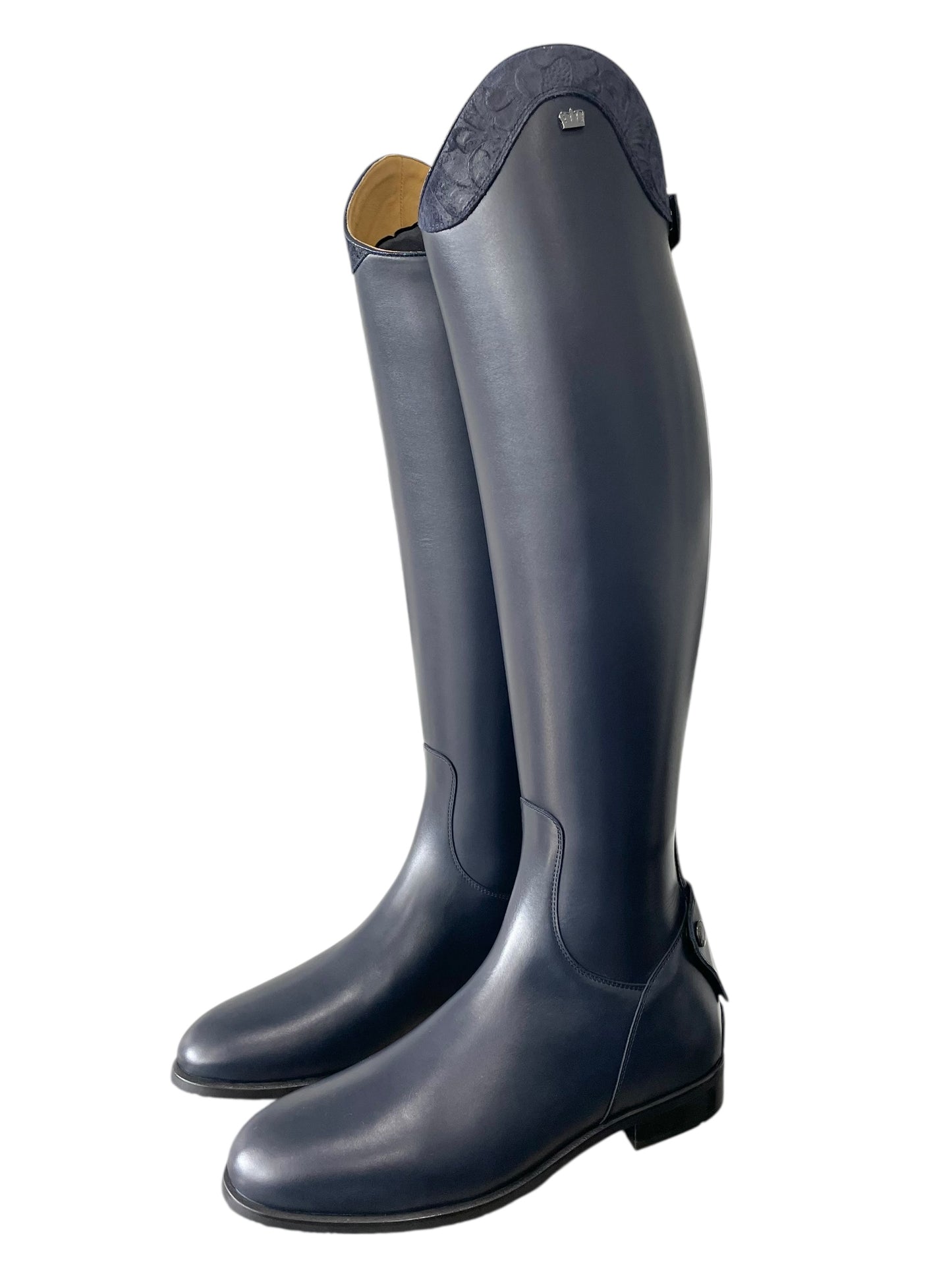 TDR's Alex S (Kingsley Maris)