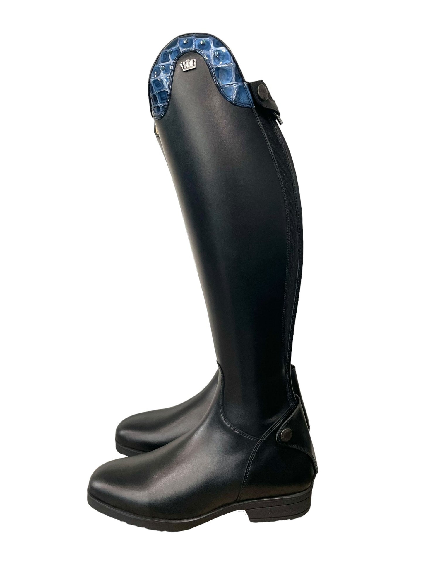 TDR's Dani T (Kingsley Maris with Montreal Sole)