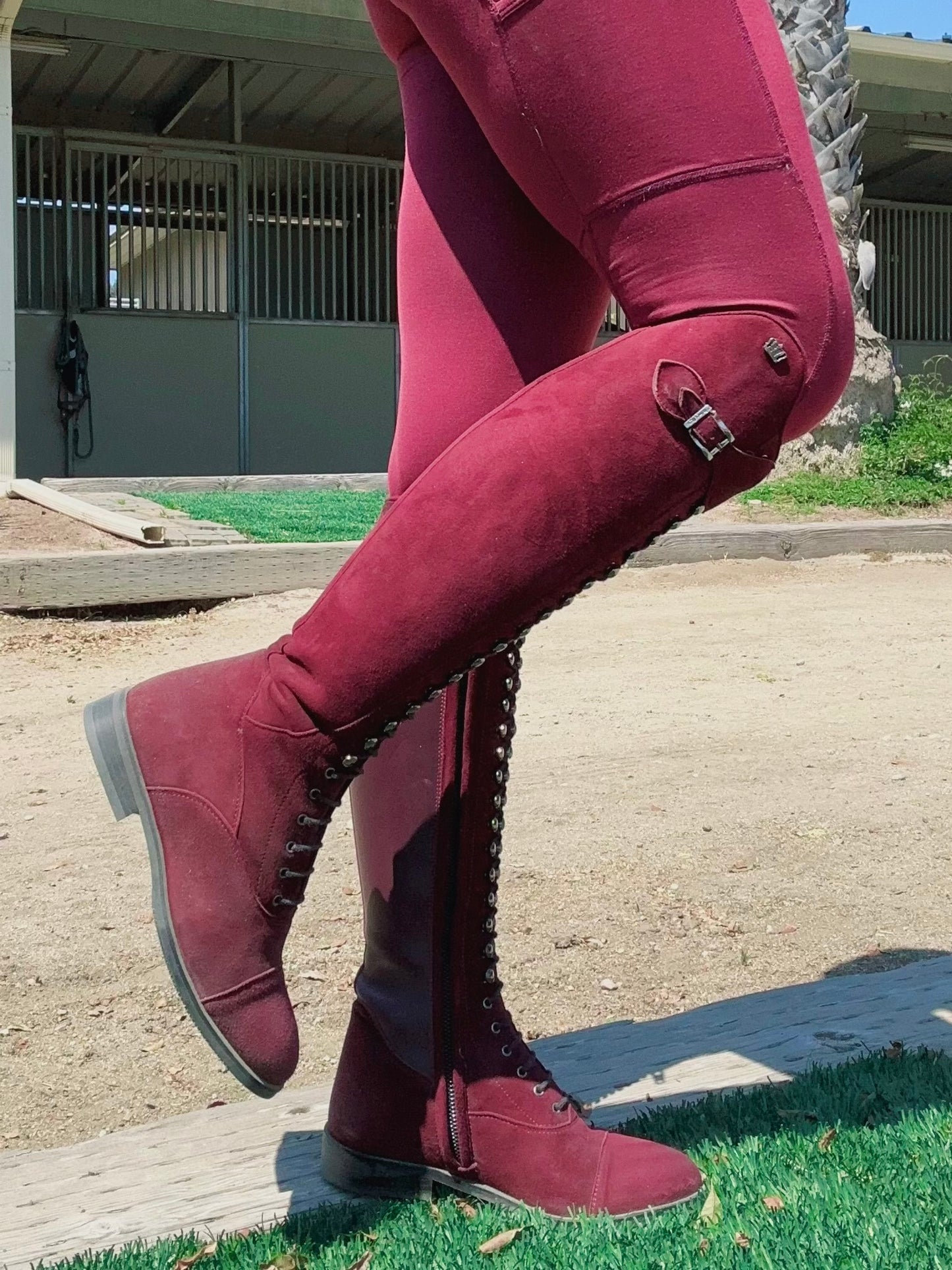 TDR's Milynn BURGUNDY Edition (Kingsley Orlando 02)