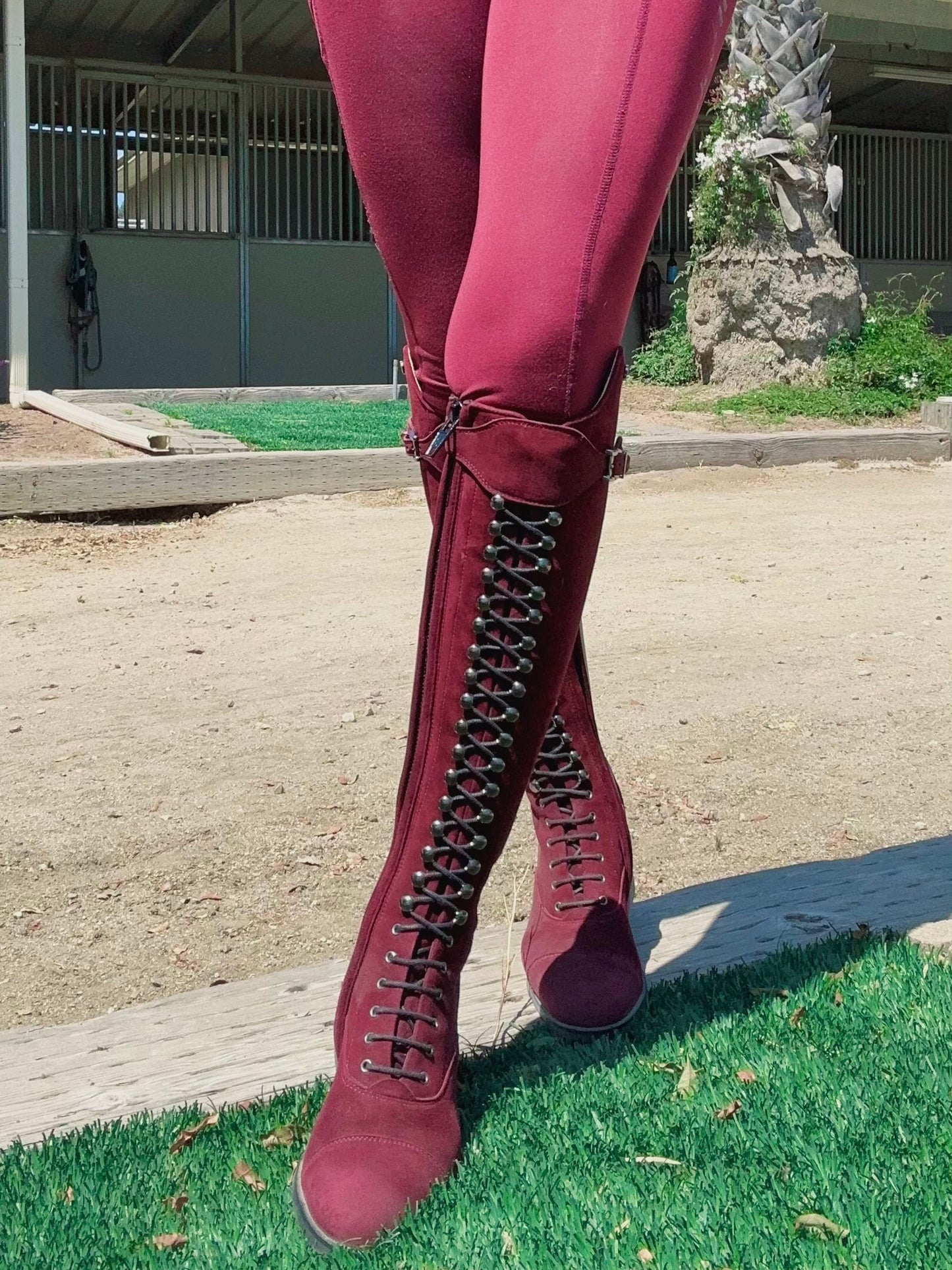 TDR's Milynn BURGUNDY Edition (Kingsley Orlando 02)