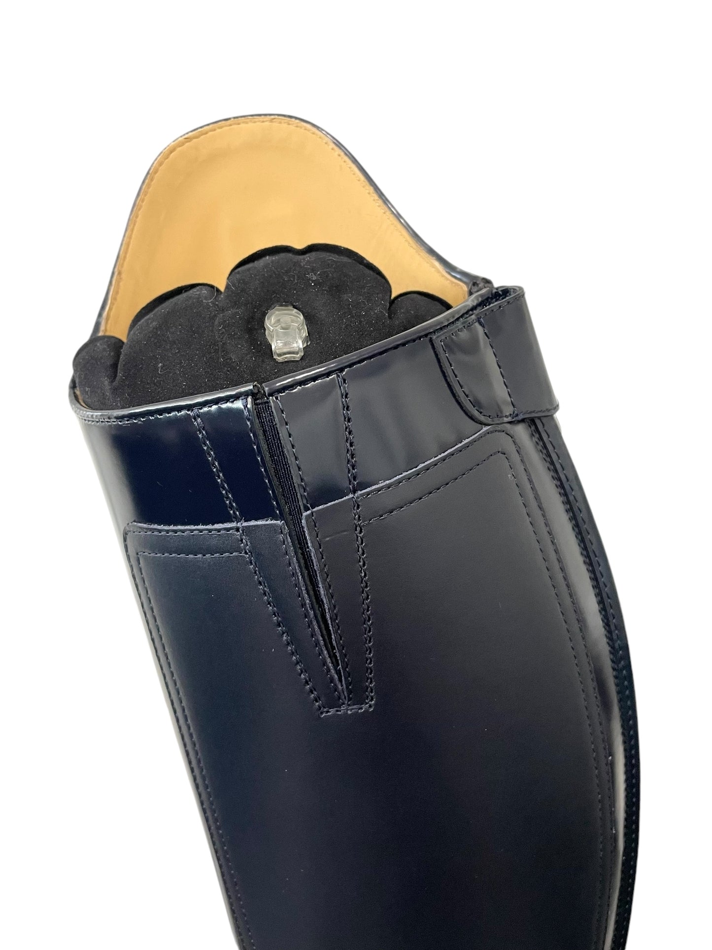 TDR's Jamie D 2.0 (Kingsley Olbia 01)