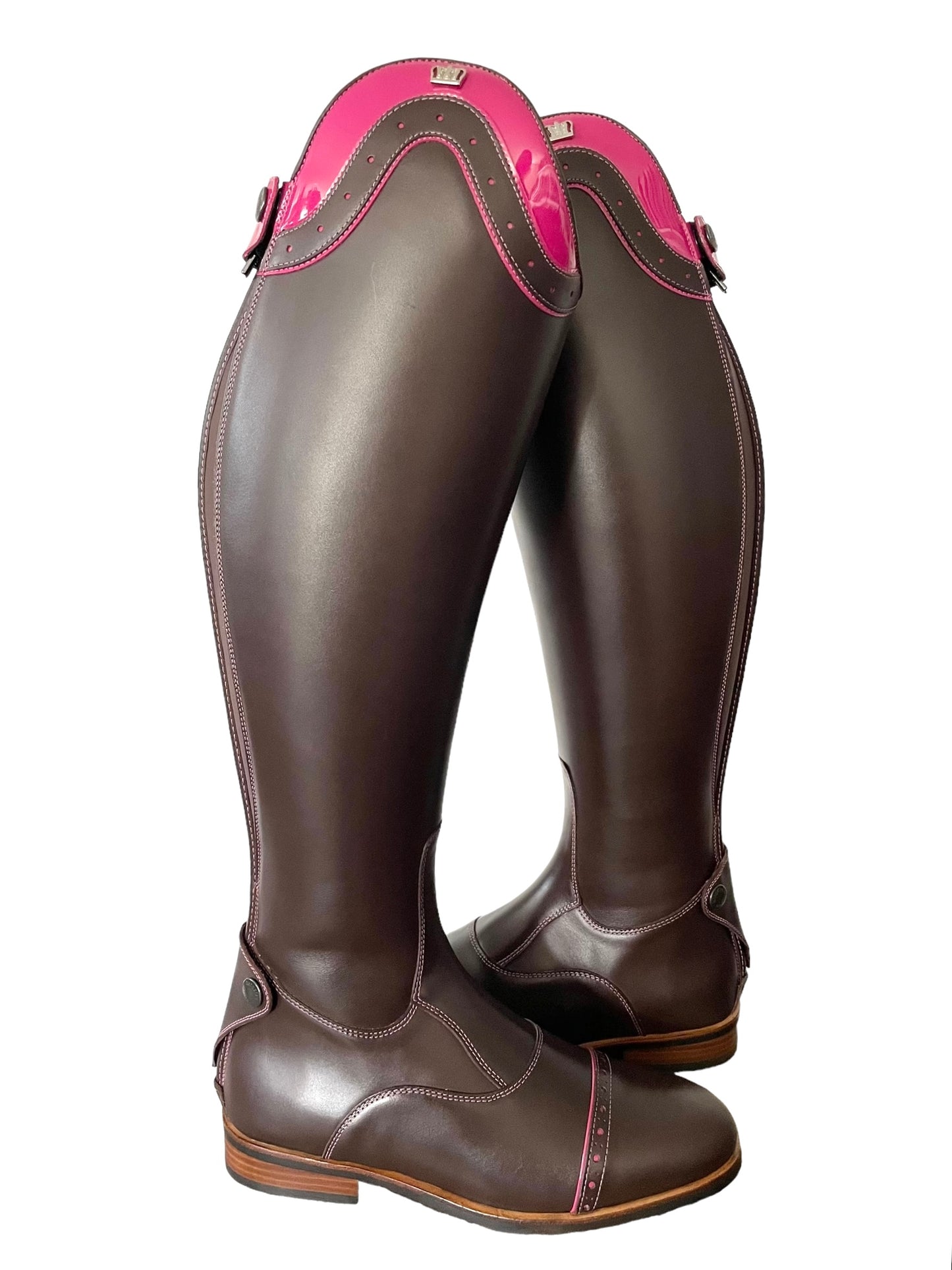 TDR's Necole S (Kingsley Olbia 01)