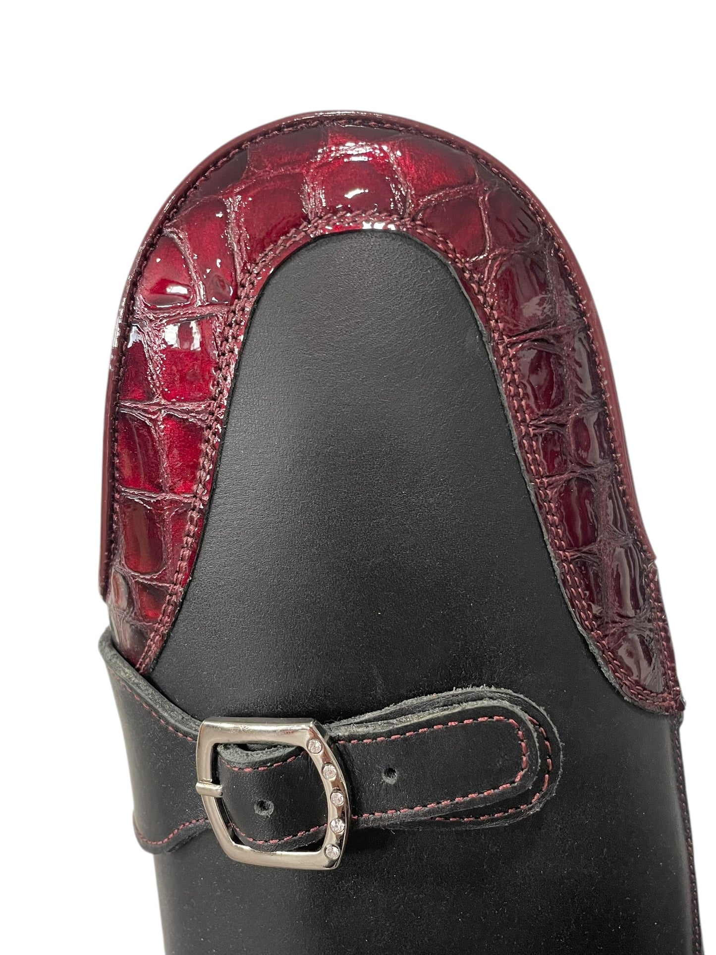 TDR's Dawn A (Celeris Olivia Flex)