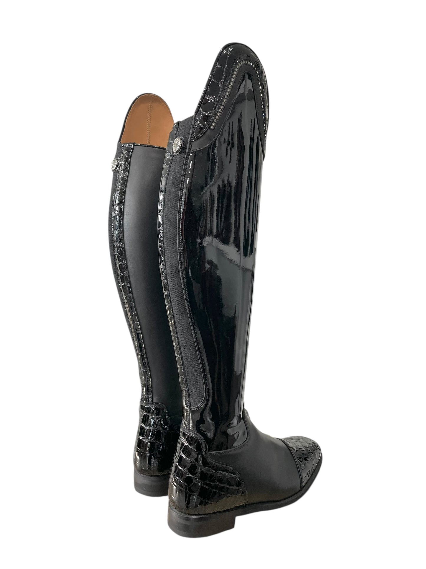 TDR's Jacy F (Celeris Olivia Flex)