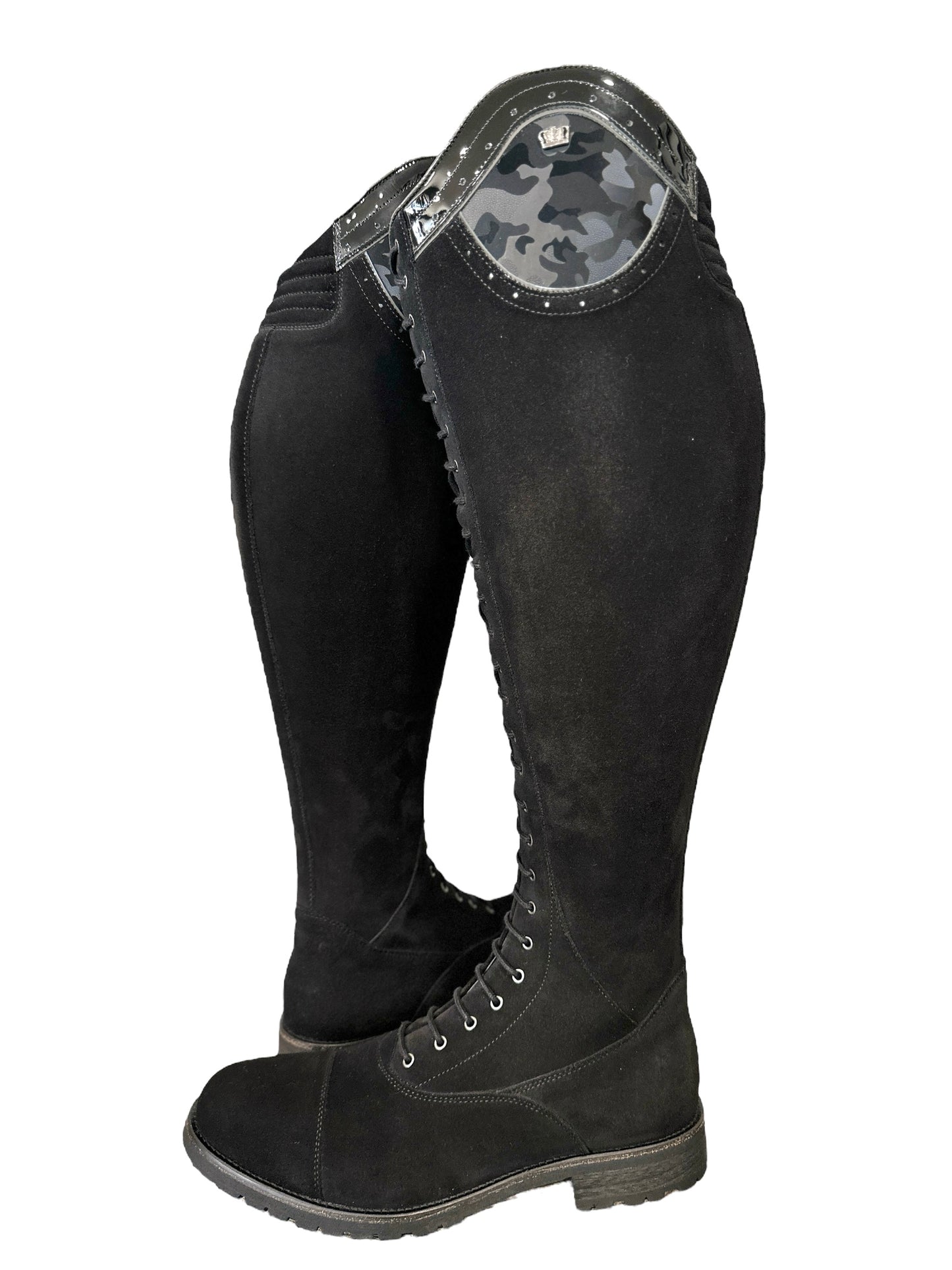 TDR's Elizabeth L (Kingsley Orlando 02 with Amsterdam Sole)