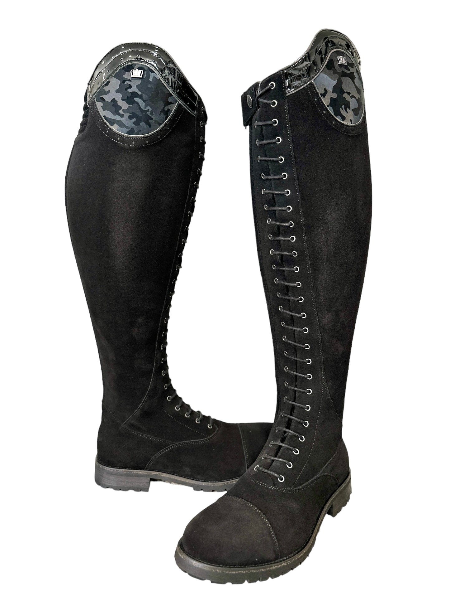 TDR's Elizabeth L (Kingsley Orlando 02 with Amsterdam Sole)