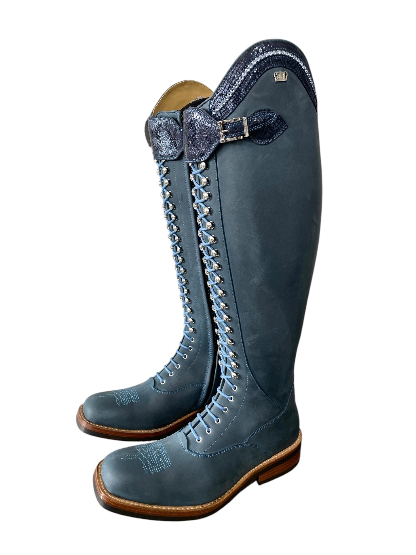 TDR's Christa (Kingsley Orlando 02 with Denver Sole)