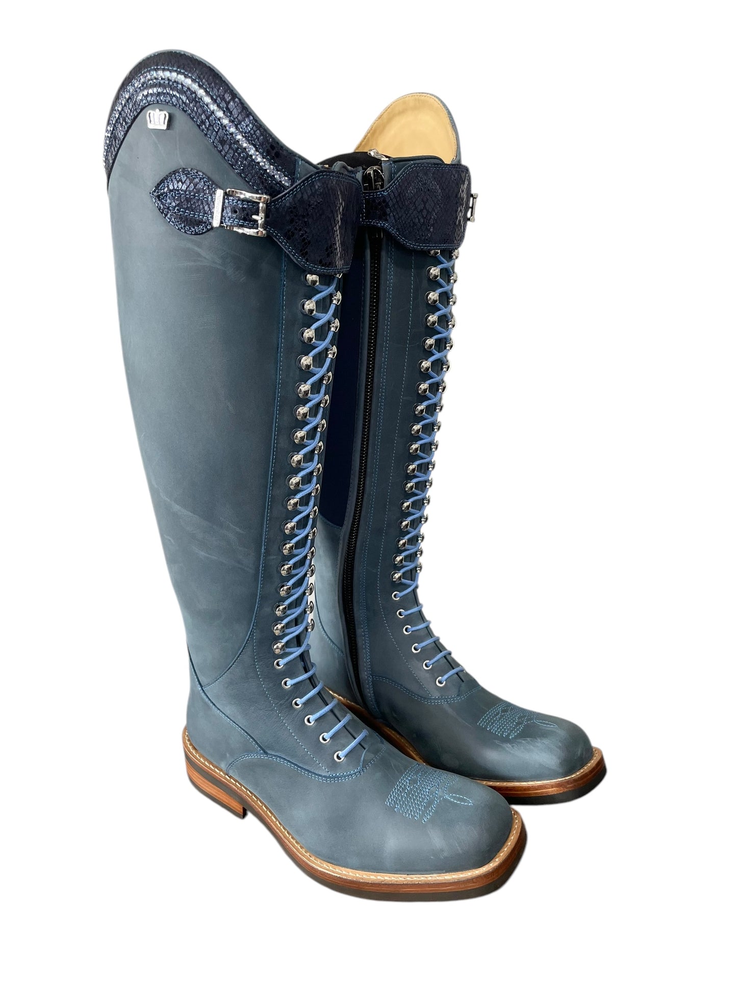 TDR's Christa (Kingsley Orlando 02 with Denver Sole)