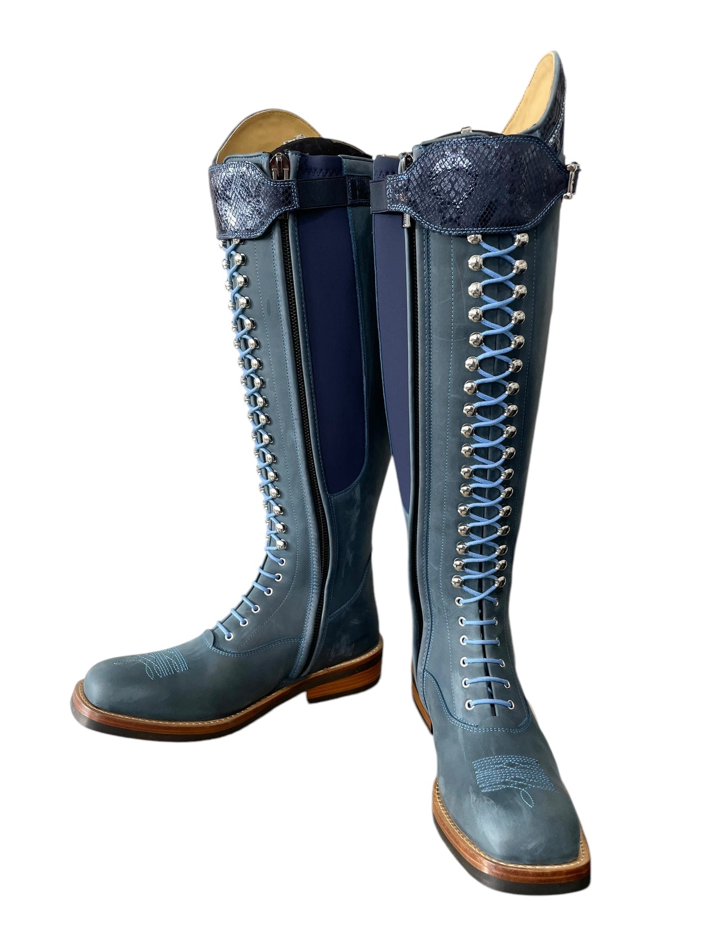 TDR's Christa (Kingsley Orlando 02 with Denver Sole)