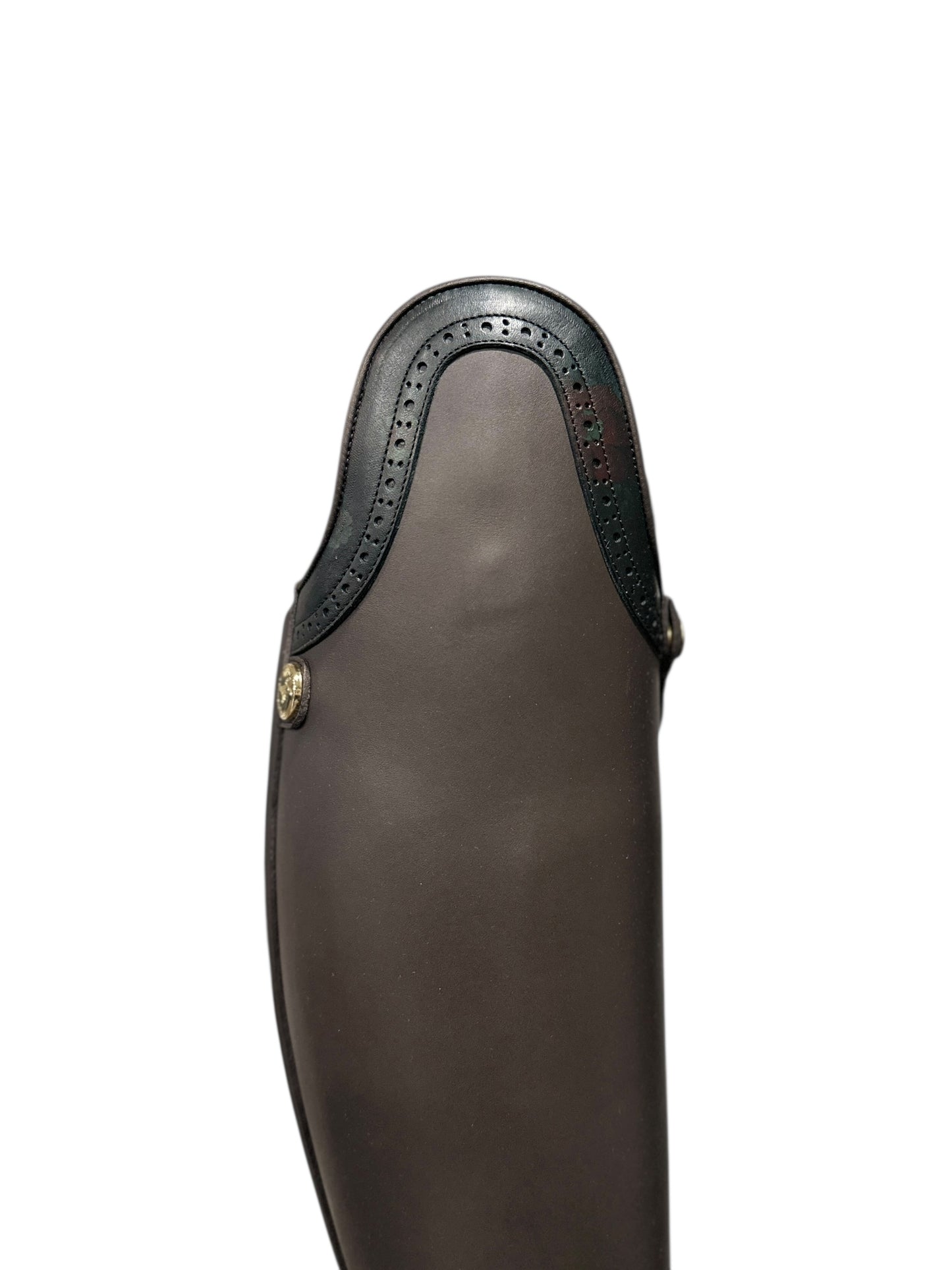 TDR's Shannon S 2.0 (Celeris Passage)