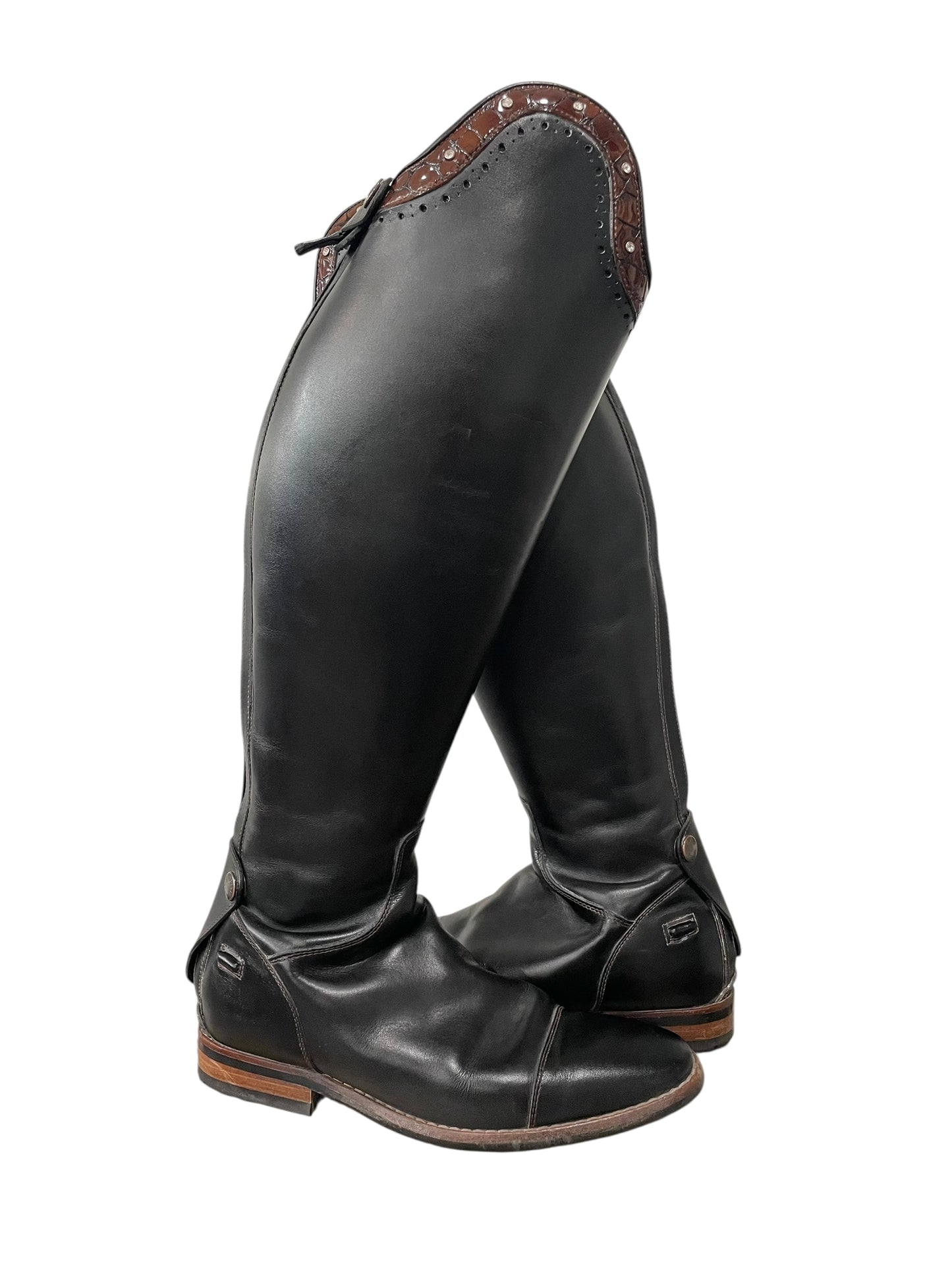Petrie CONSIGNMENT (39/46/36)