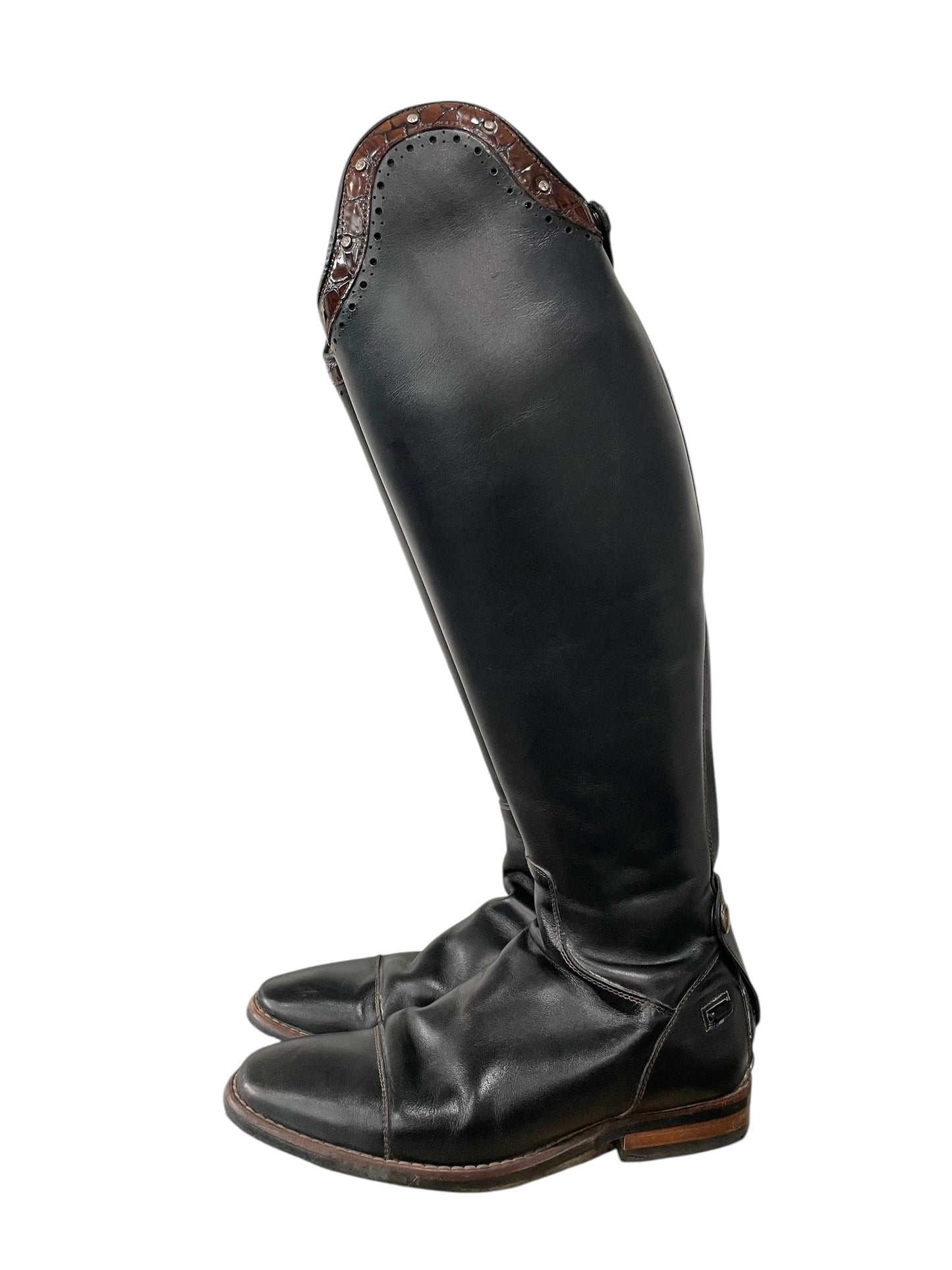 Petrie CONSIGNMENT (39/46/36)
