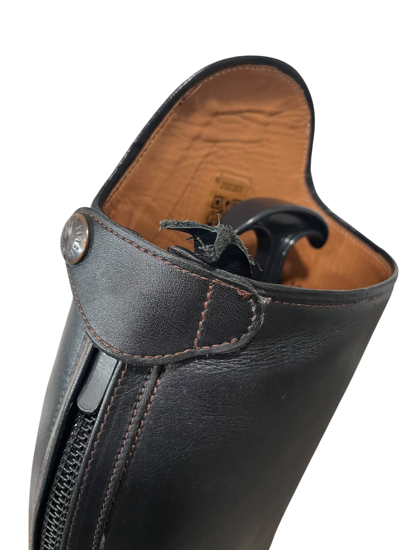 Petrie CONSIGNMENT (39/46/36)