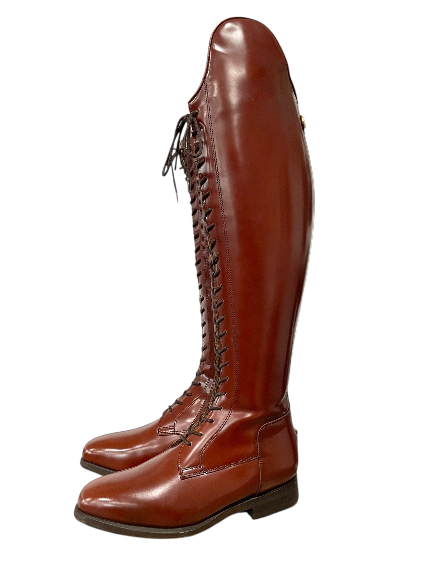 Celeris Bia (Polished Chestnut)